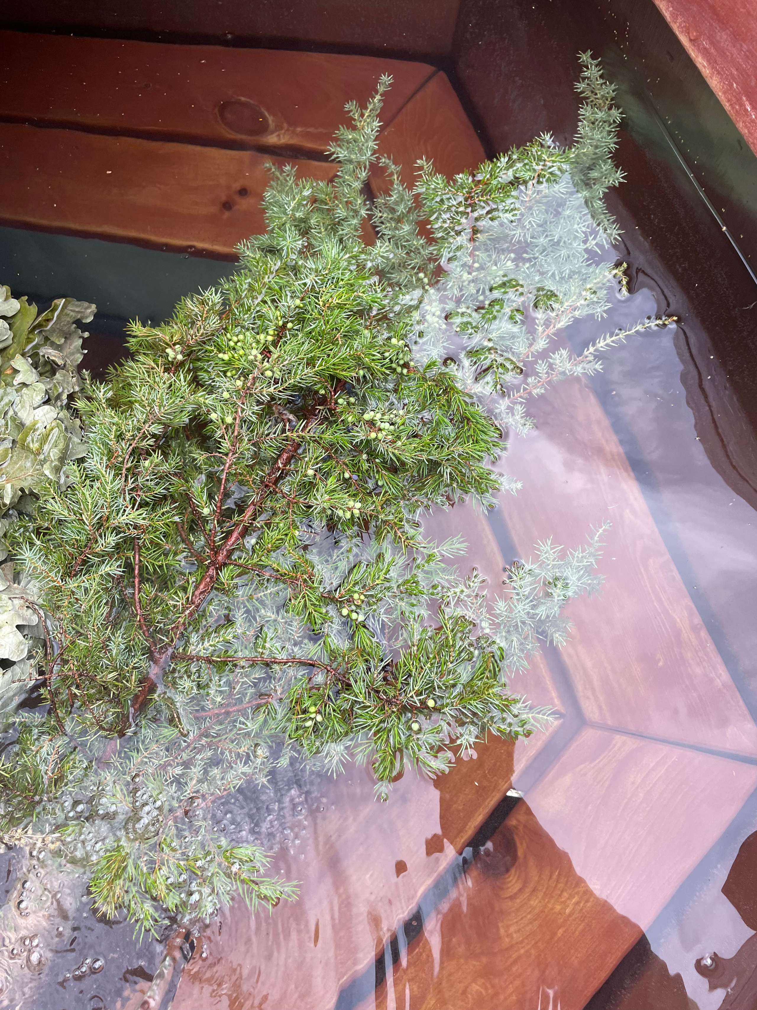 Чан. Организатор загородного отдыха в Переславле Валерия