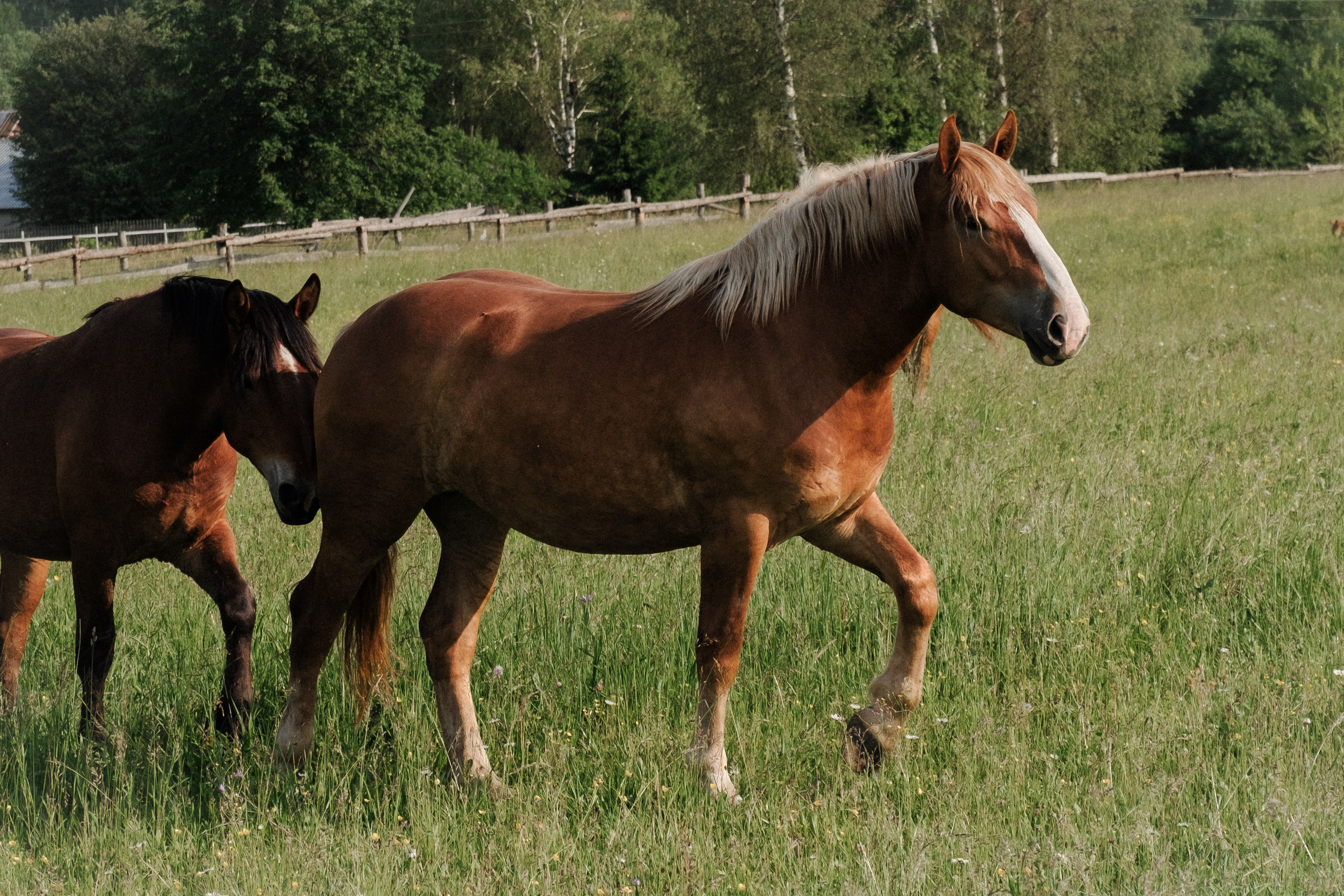 Анна. Фотограф Владимир / Кинешма Мария Верèтина