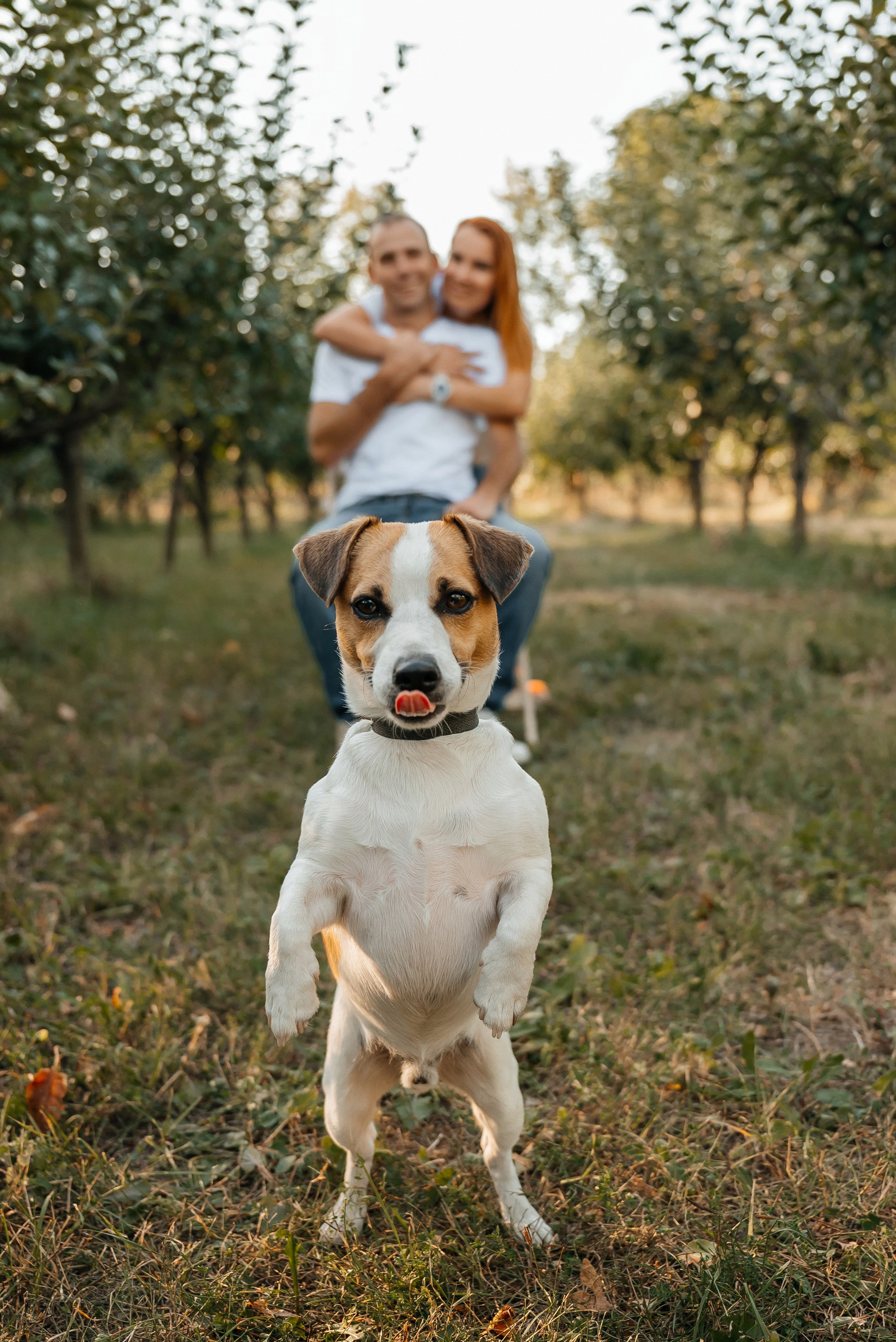Семейная. Школьный фотограф в Валуйках. Фотосессии для выпускников и изготовление выпускных альбомов в городе Валуйки и в Белгородской области