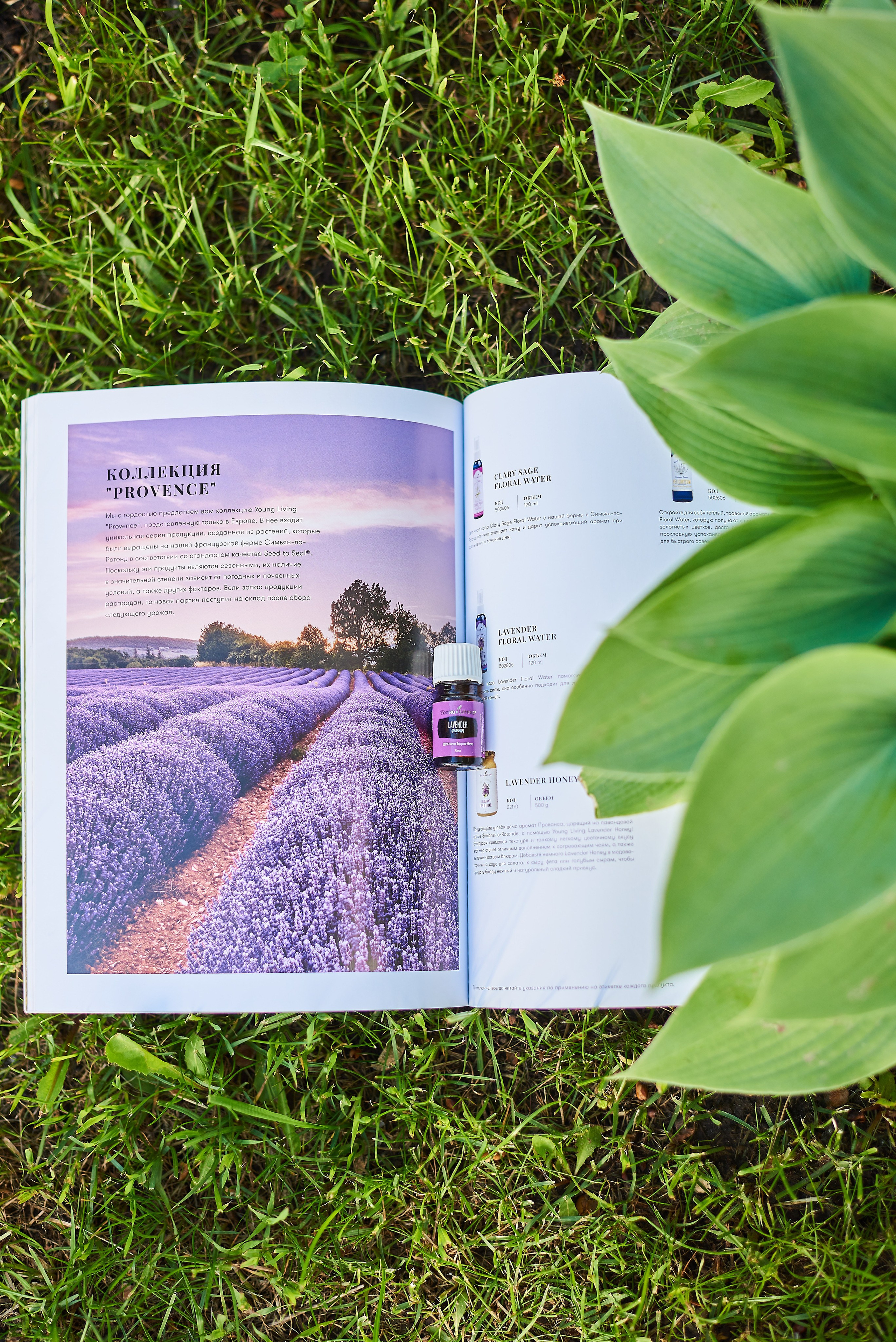 Съёмка для арома контента. Семейный фотограф в Барнауле, Горный Алтай, Заринск, Алейск