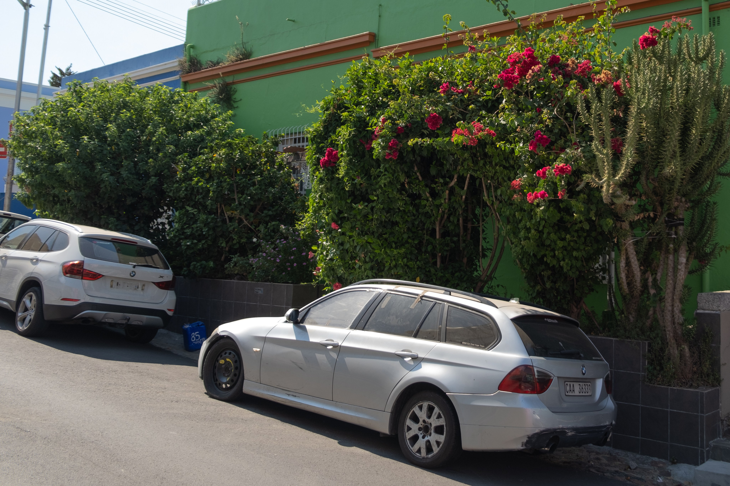 Морские котики и закат. Фотографии из путешествий