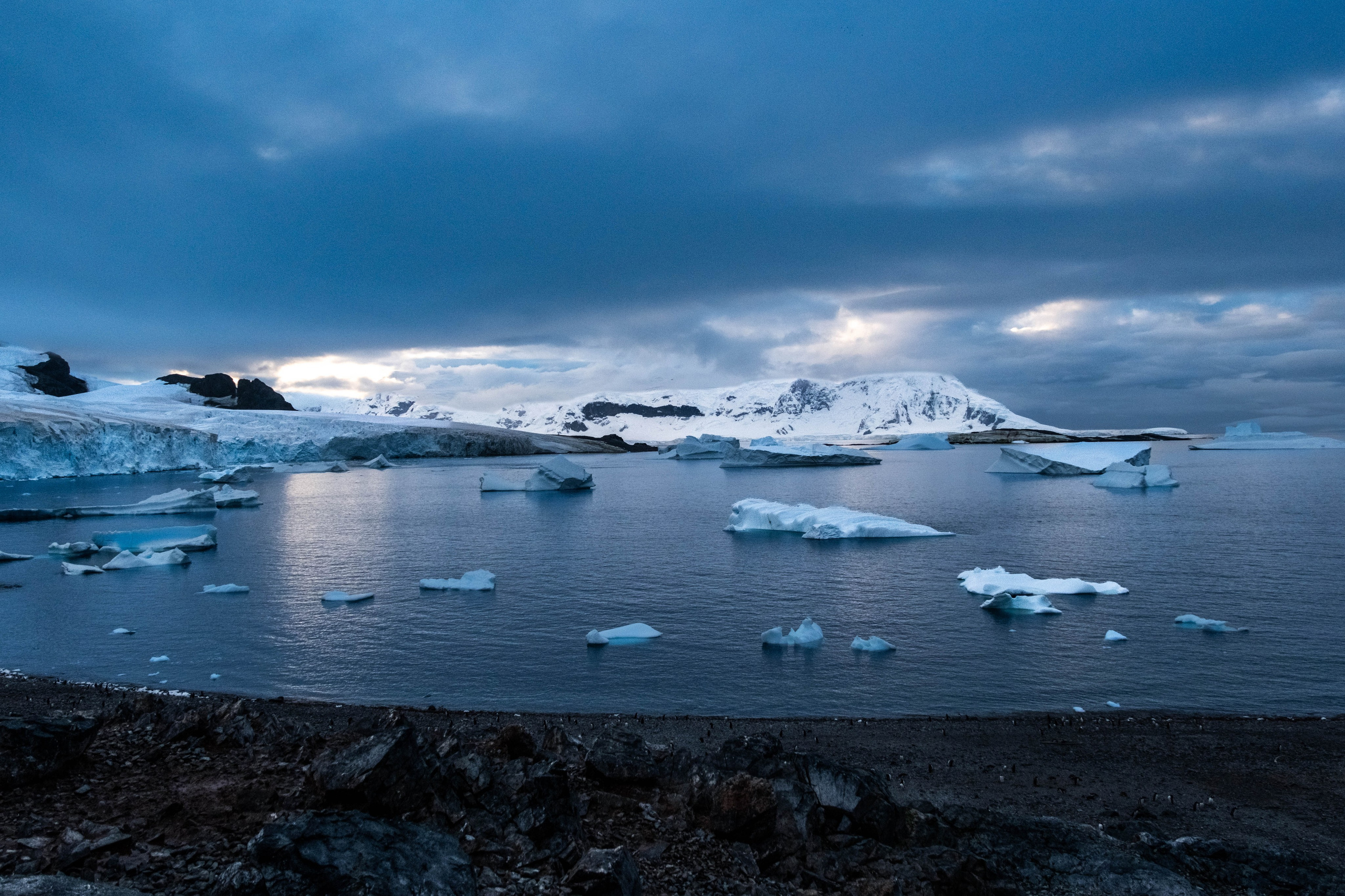 Материк и льды. Фотографии из путешествий