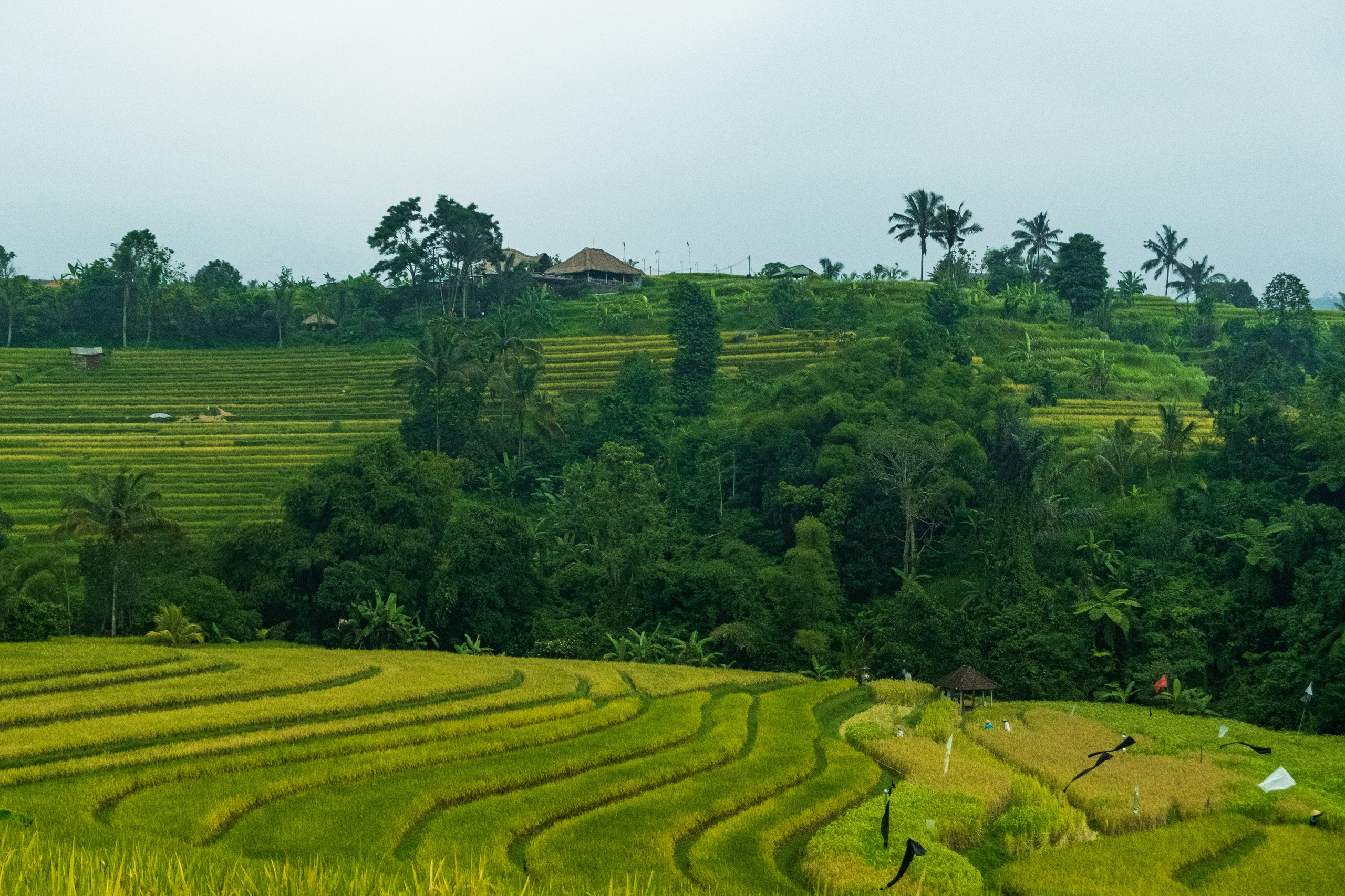 Остров Бали. Фотографии из путешествий