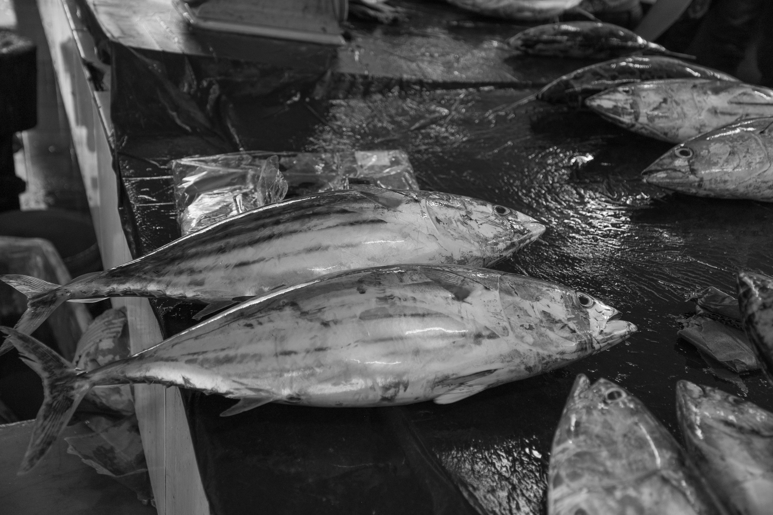 Остров Борнео, город Семпорна. Причал и рынок. Фотографии из путешествий