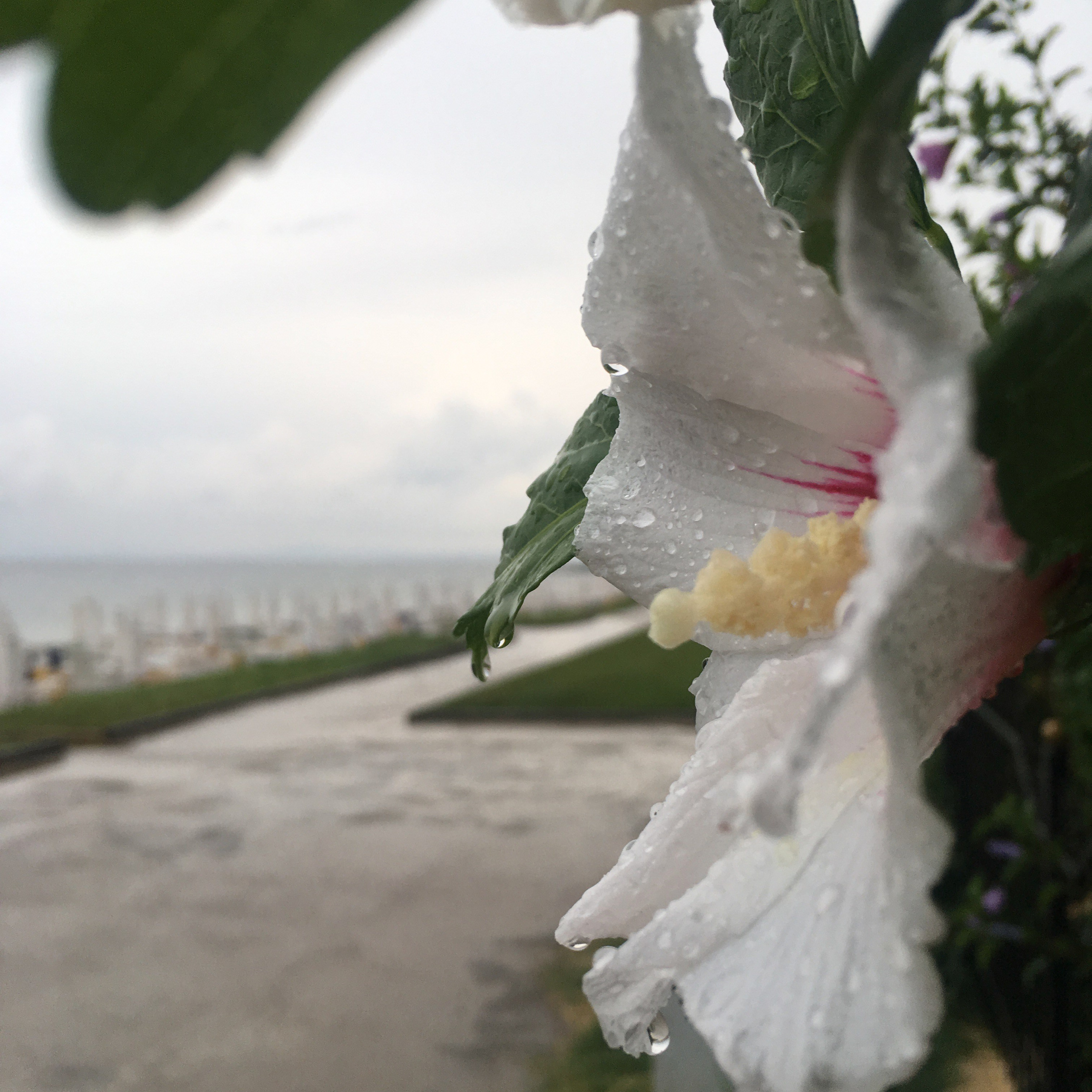 Болгария. Главная