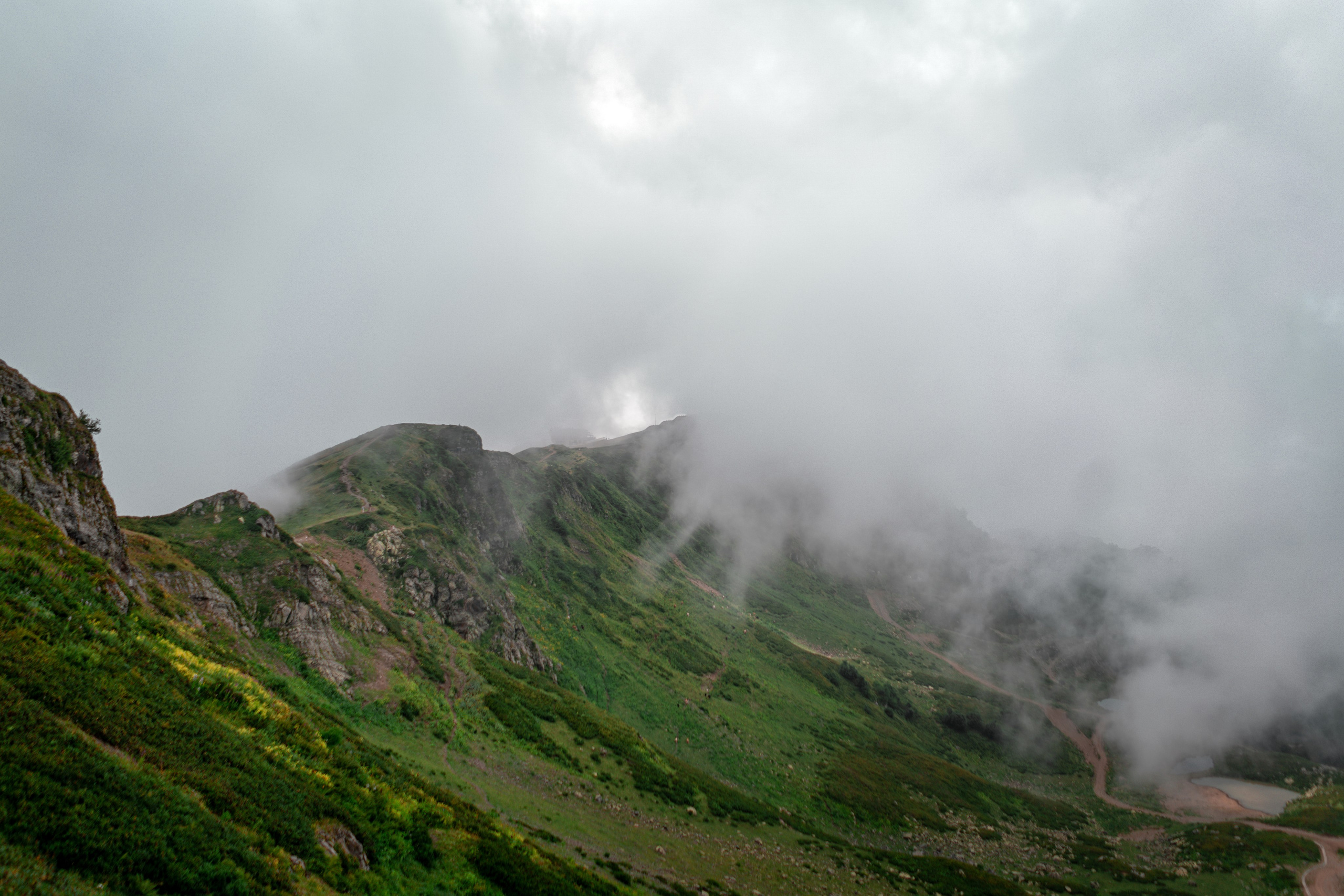 Сочи. Фотограф Александра Волкова | Волгоград