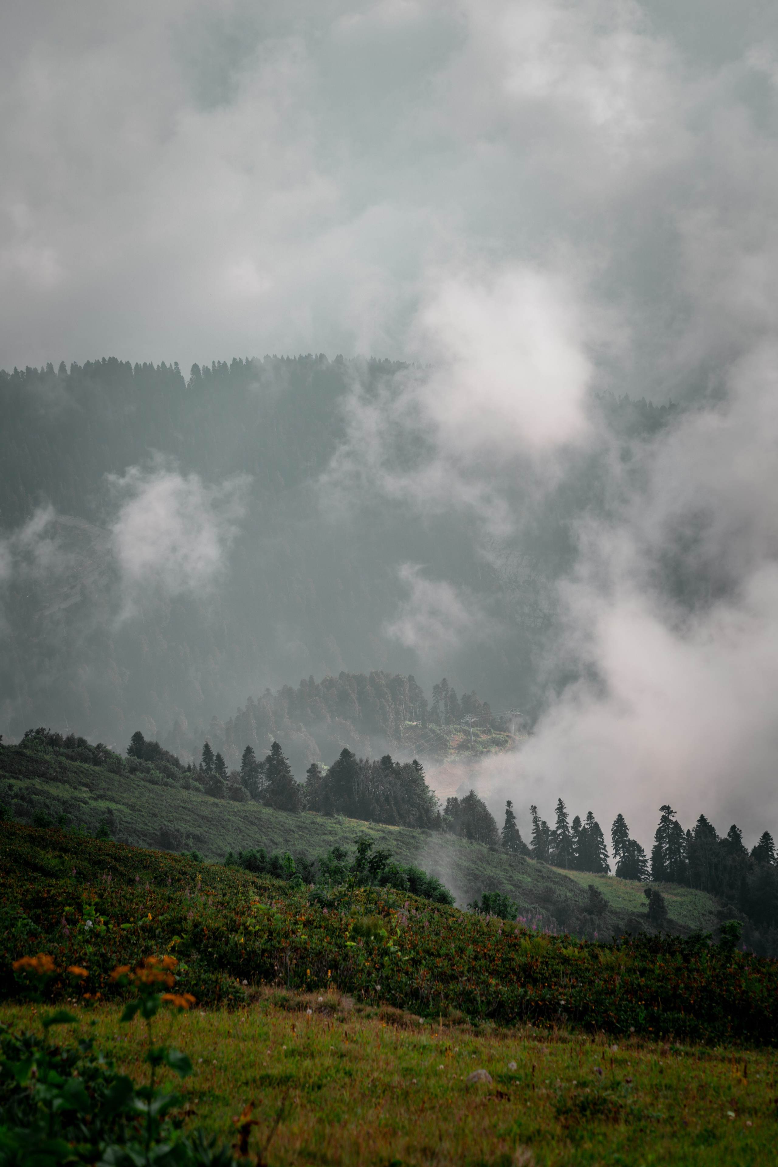 Сочи. Фотограф Александра Волкова | Волгоград