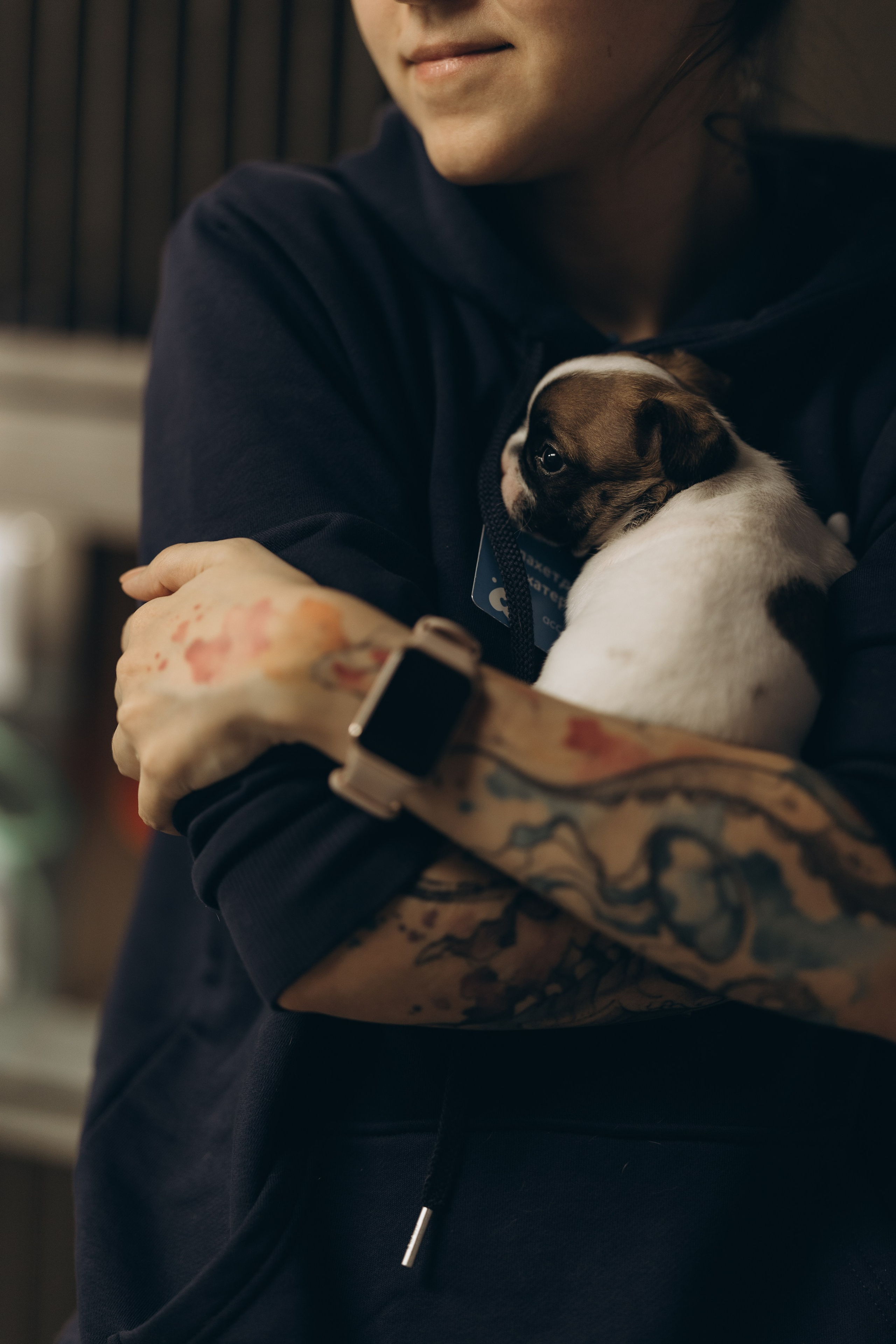 VetLife. Татьяна Афонина | Фотограф