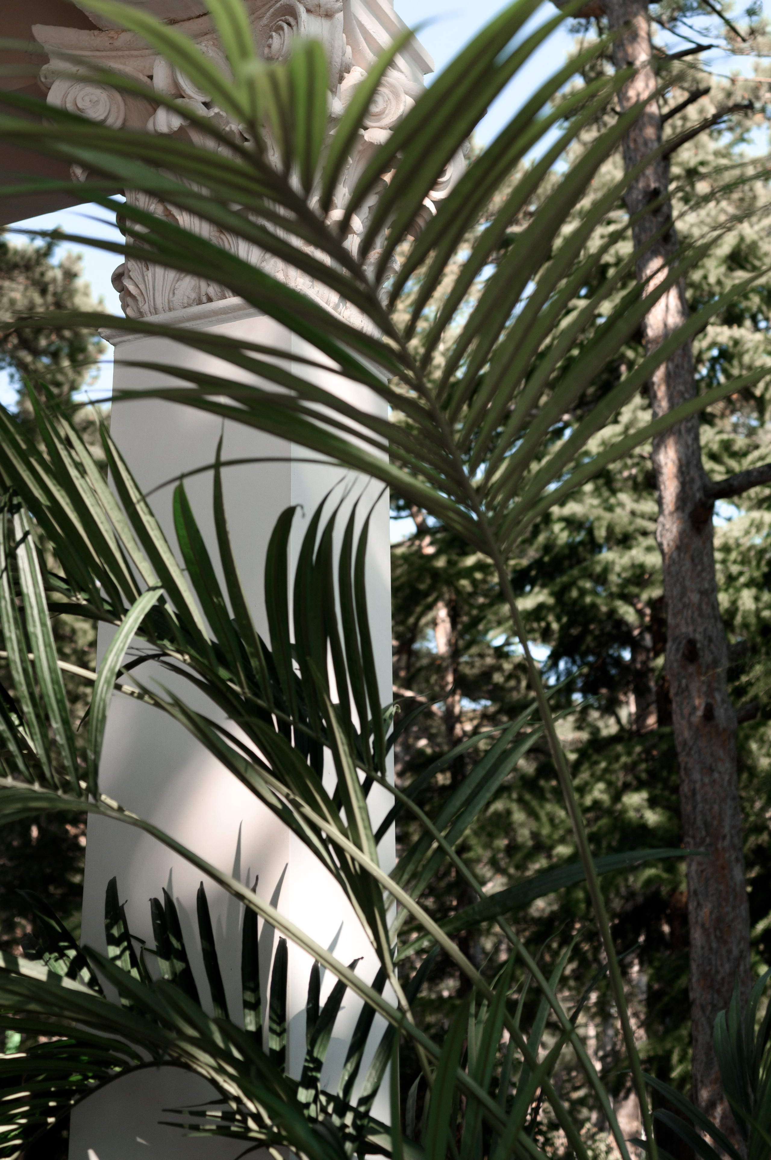 Денис и Александра. Свадебный фотограф. Крым и дальше!