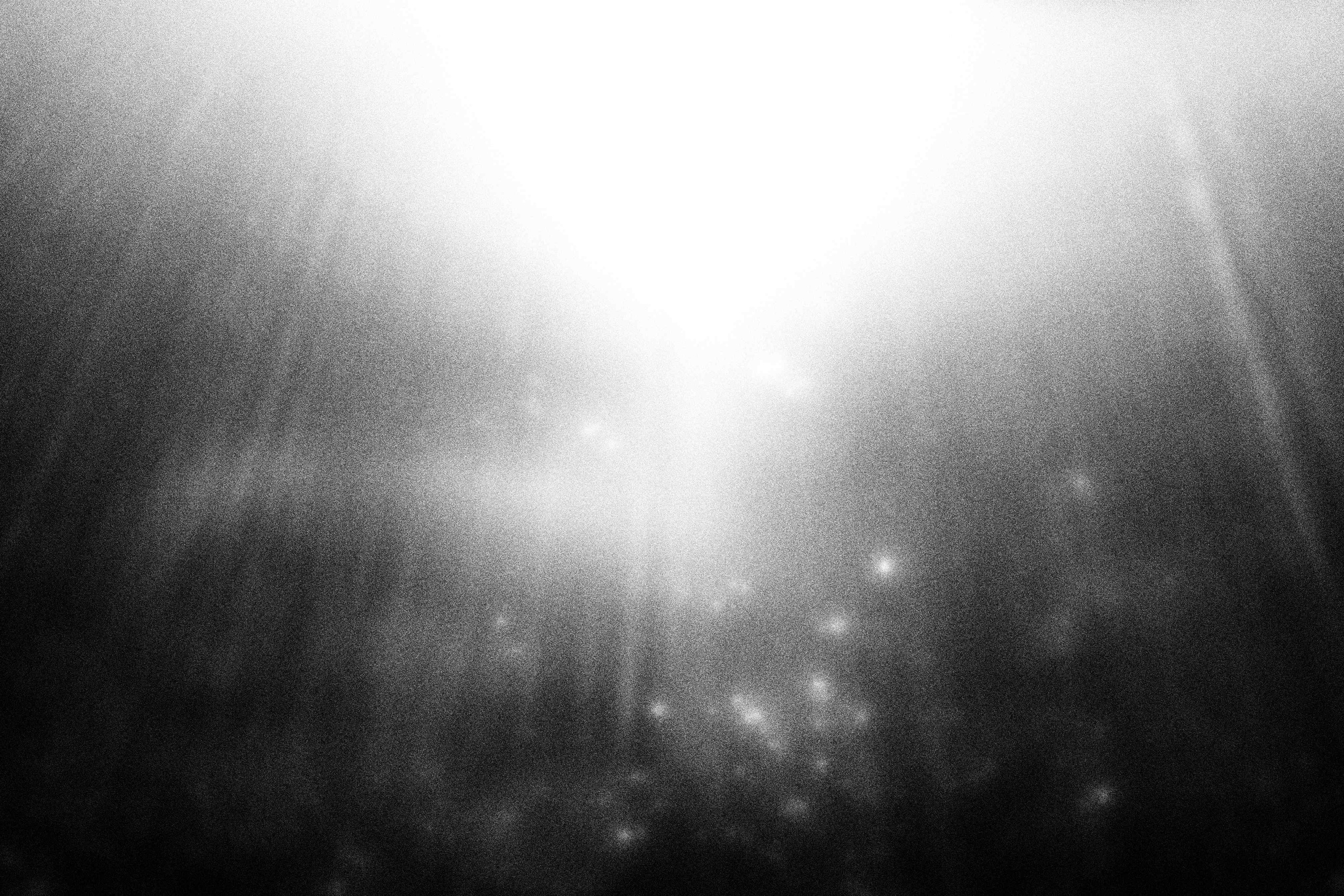 «Видеть. Чувствовать. Сохранять»