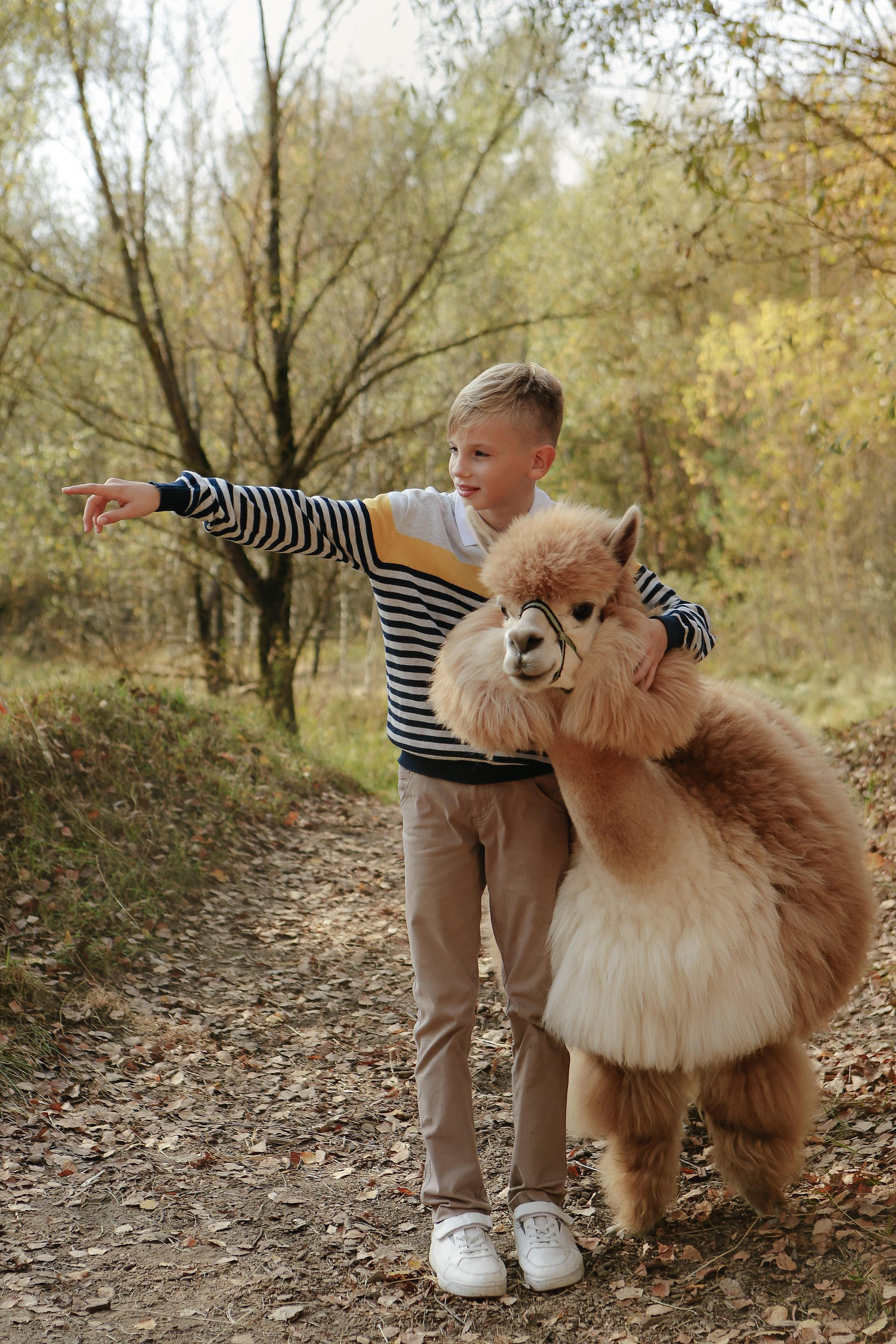 Альпаки. Семейный и детский фотограф в Москве Александра Мак