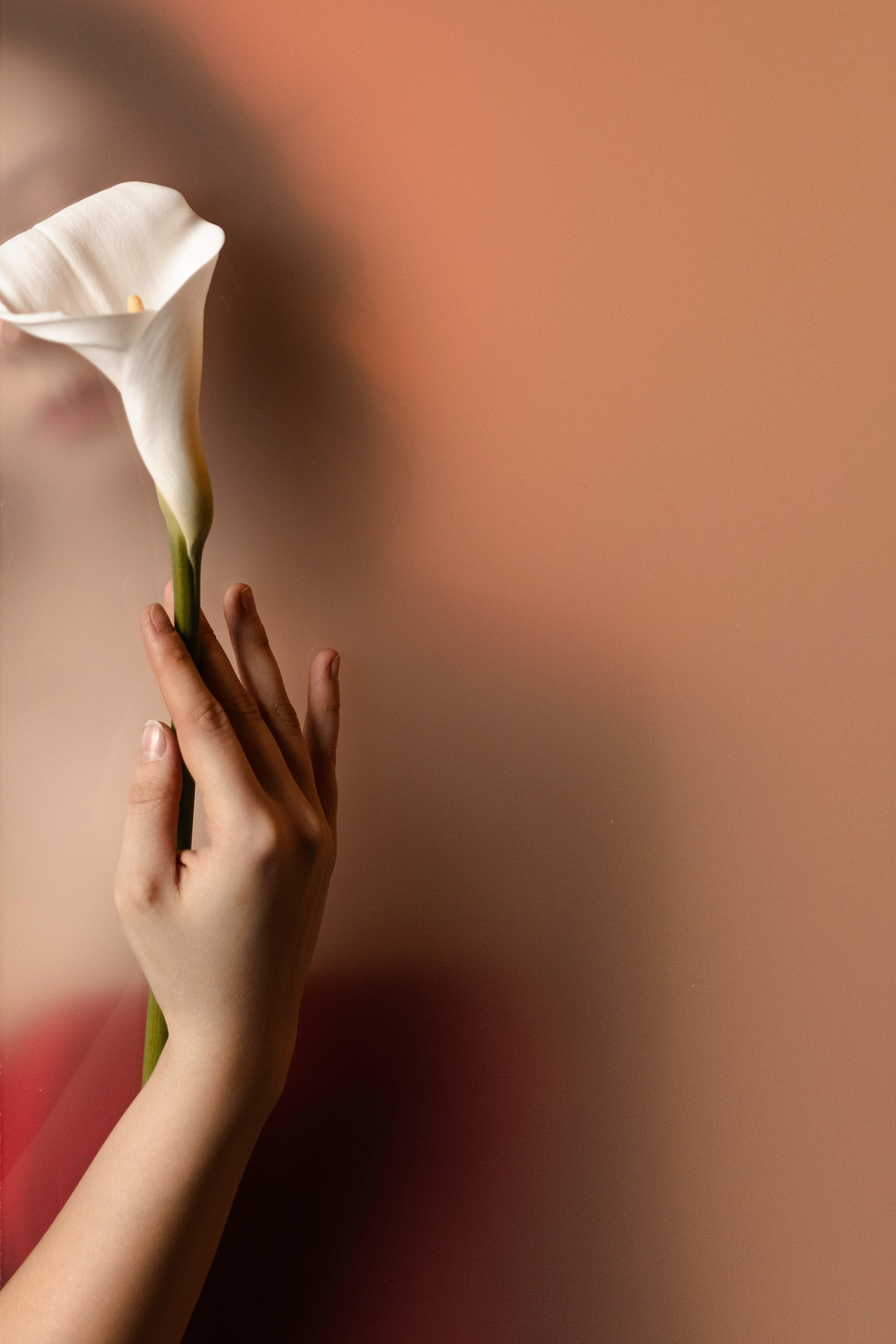 Портреты. Фотограф в Санкт-Петербурге и Калининграде