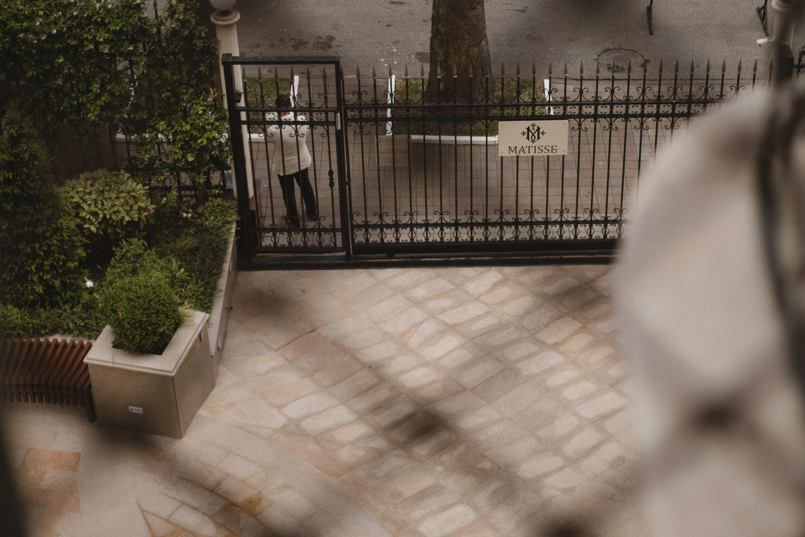 Свадьба в летний день с прогулкой в парке и свадебным ужином в загородной клубе. Свадебный, репортажный и портретный фотограф Сочи, Краснодар. Александра Зайцева