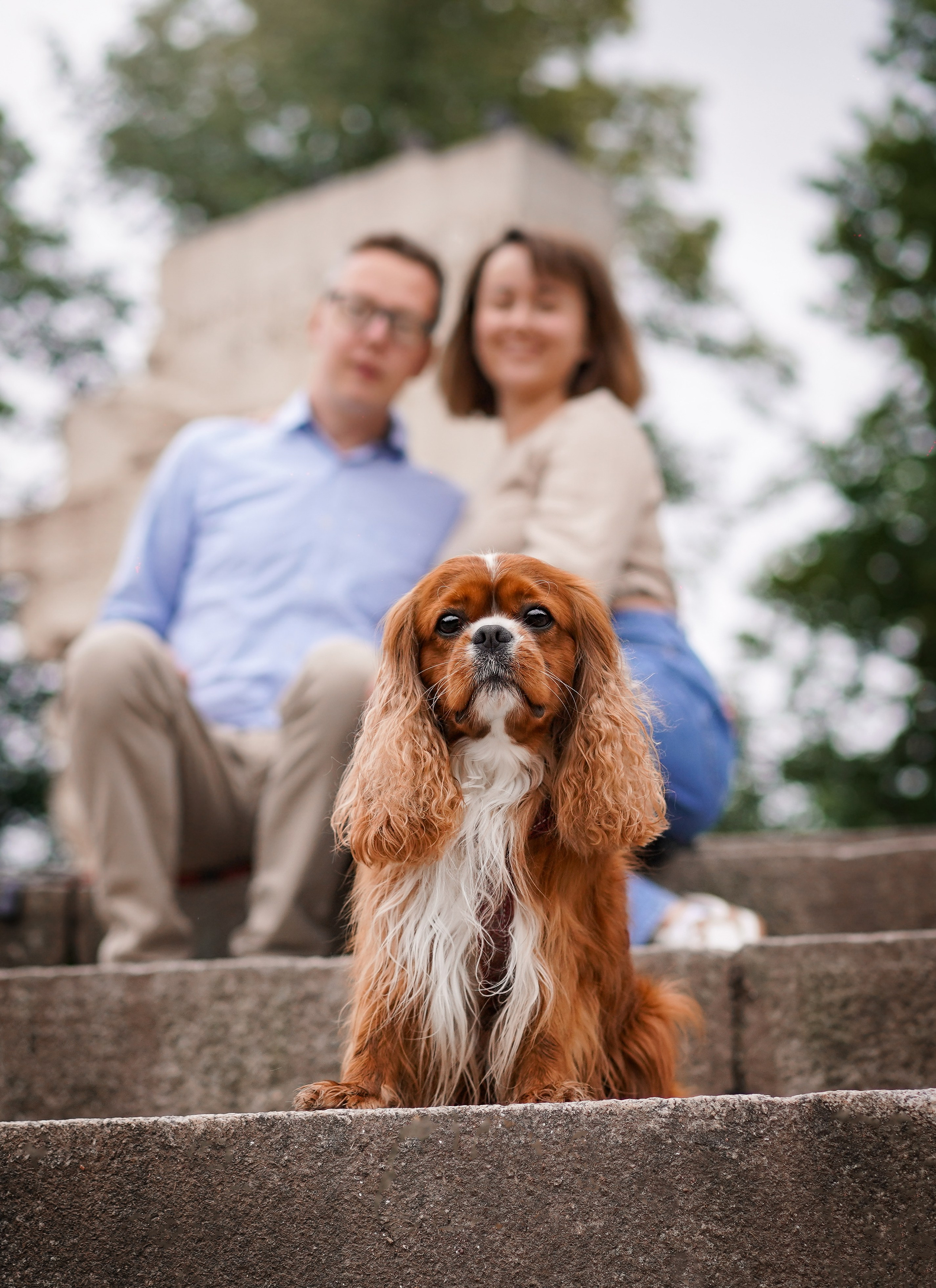 Юля Володя Гарри и Верон. Фотограф-анималист в Санкт-Петербурге Яна Мартынова