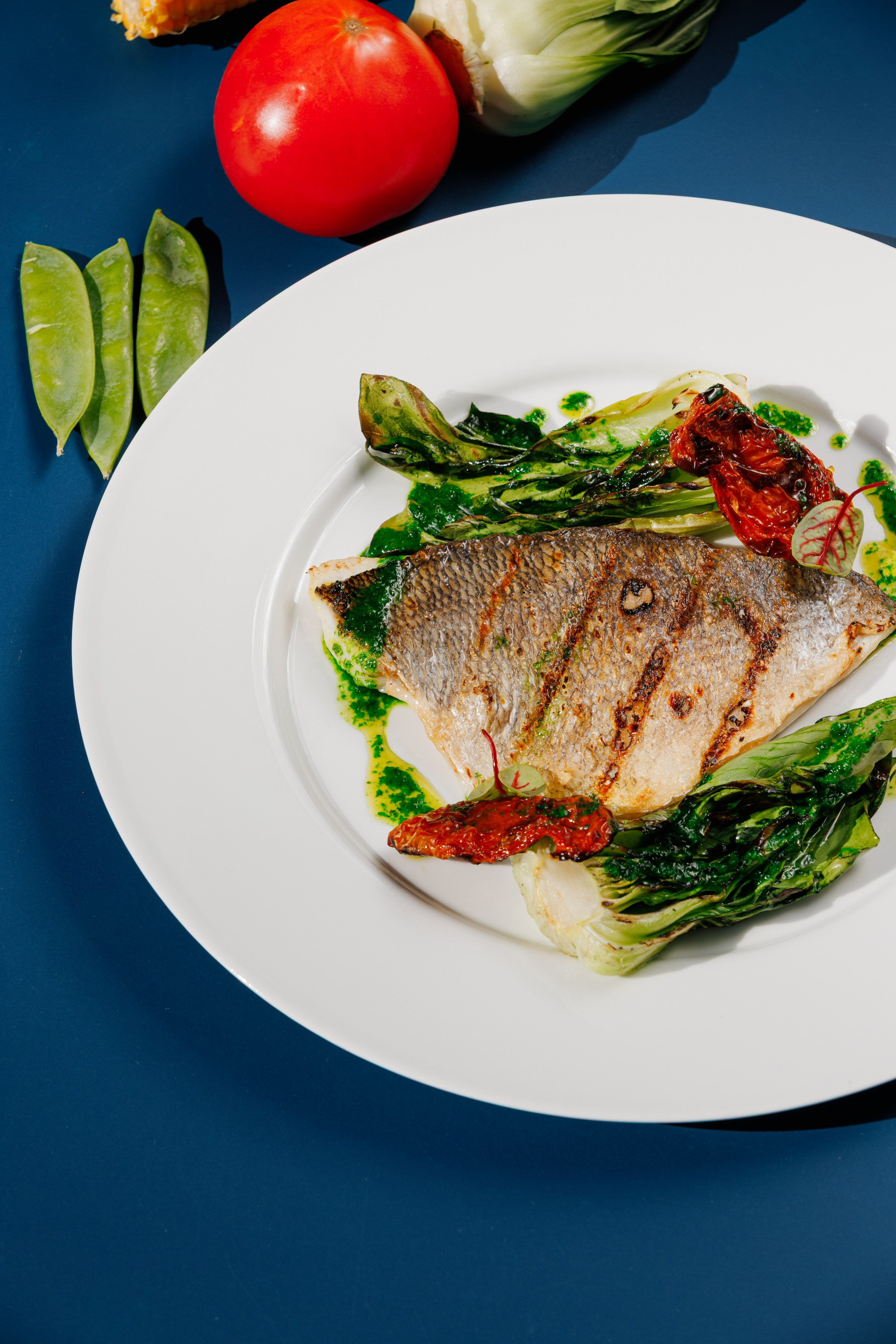 Muze Garden. Night2Day Санкт-Петербург