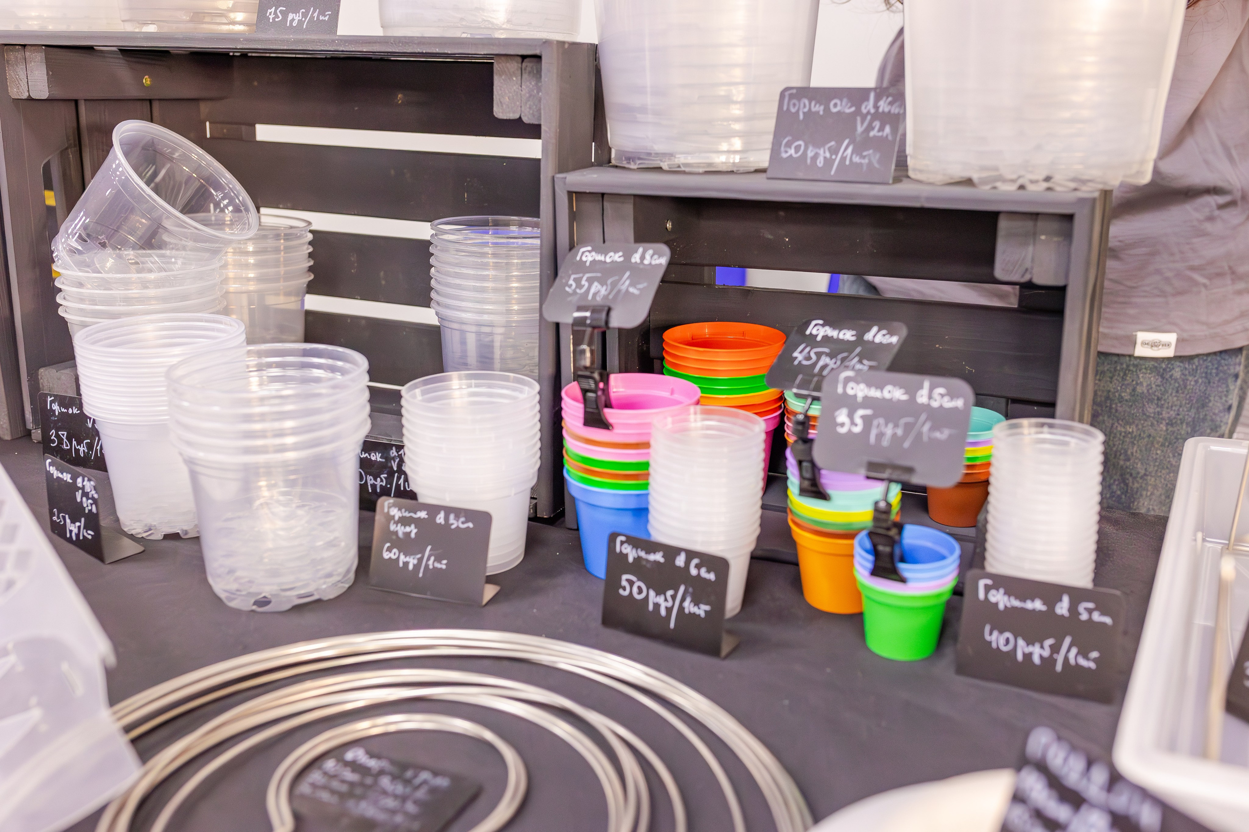 Орхидиум сентябрь 2025. Александра Куликова фотограф, Москва