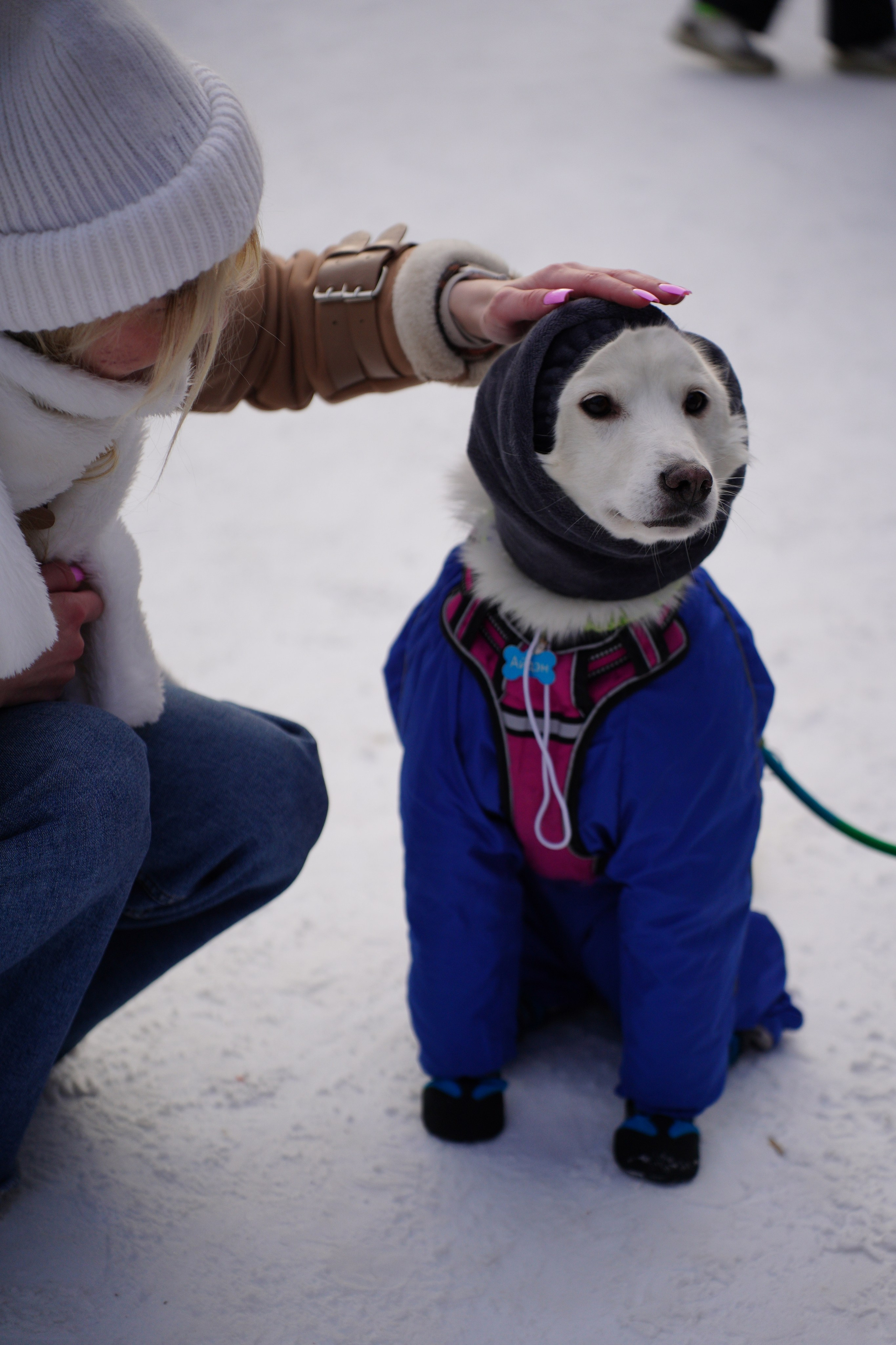 Благотворительная Акция «Ищу Человека». Pupov.png