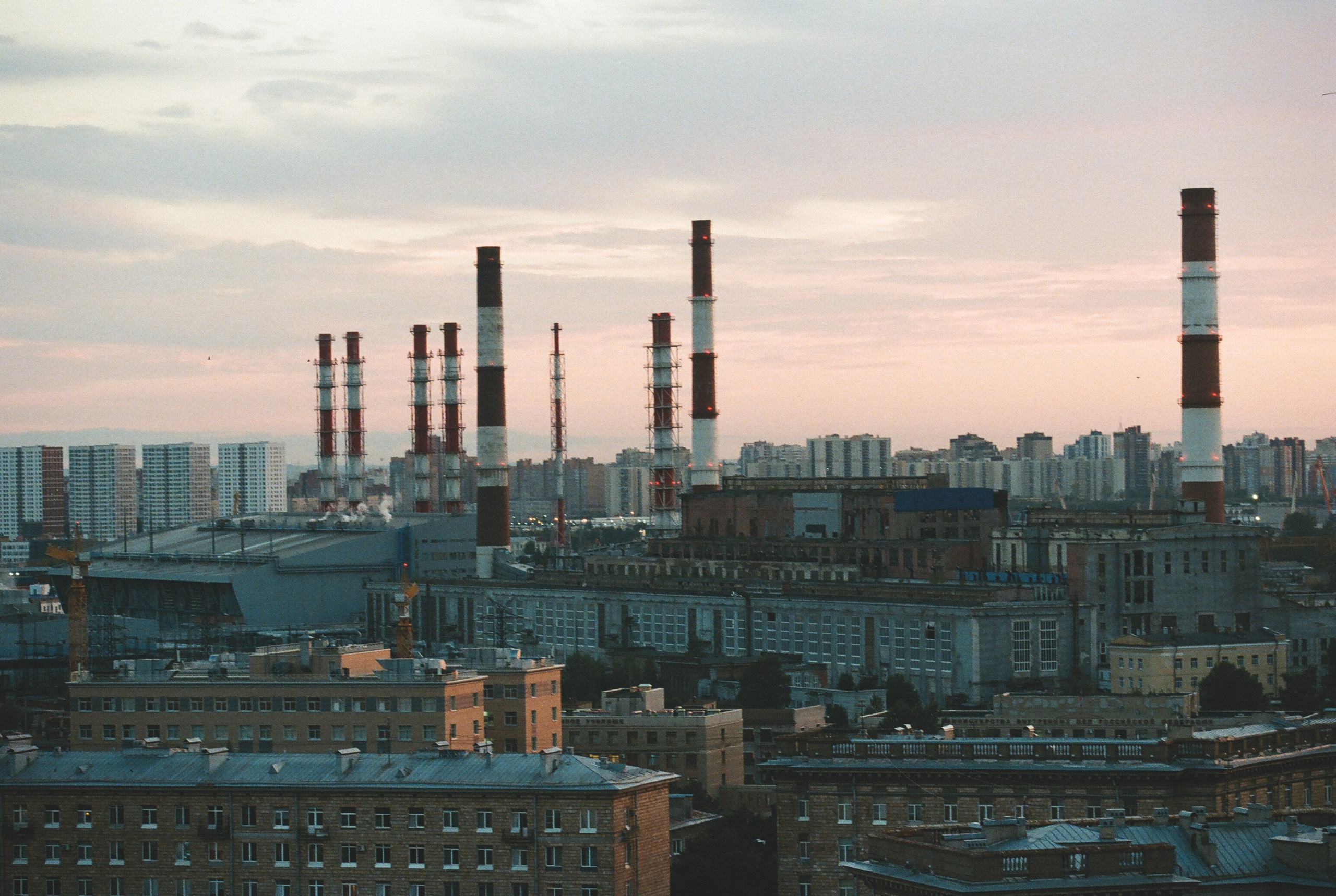 Фотографии цветные. Свадебный и семейный пленочный фотограф в Петербурге Истомина Ирина