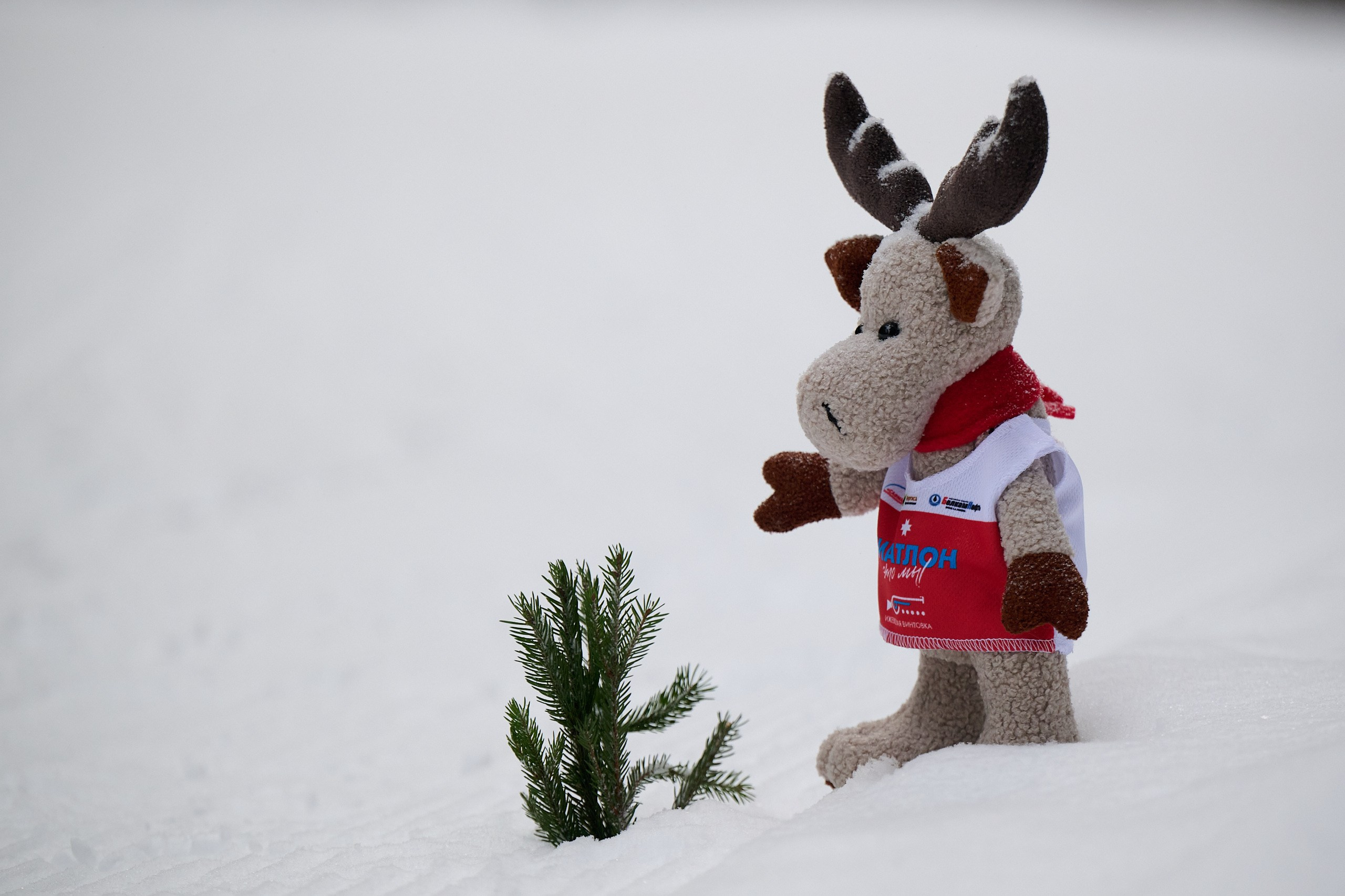 Биатлон. Чемпионат России — 2024/2025, 3-й этап, Ижевск. Спринт. Мужчины. Спортивный репортажный фотограф в Ижевске Сергей Мерзляков