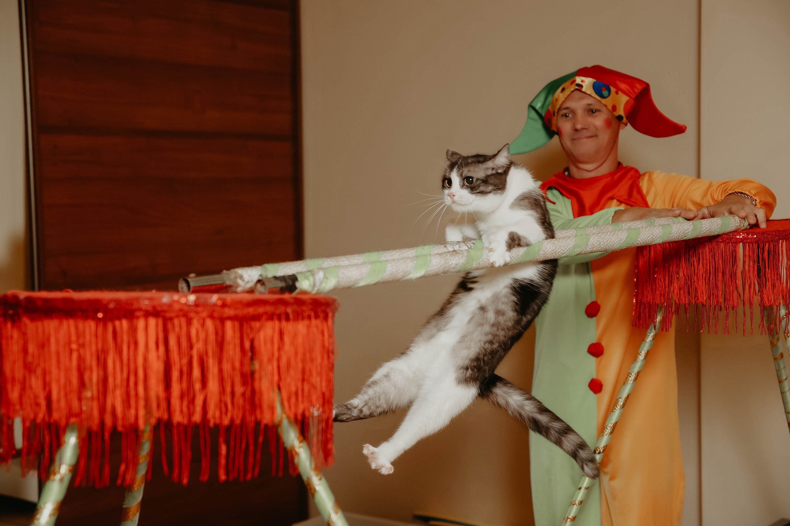 Белле 5 лет. Фотограф в Москве и любой точке земного шара Алёна Вялова (Чулкова)