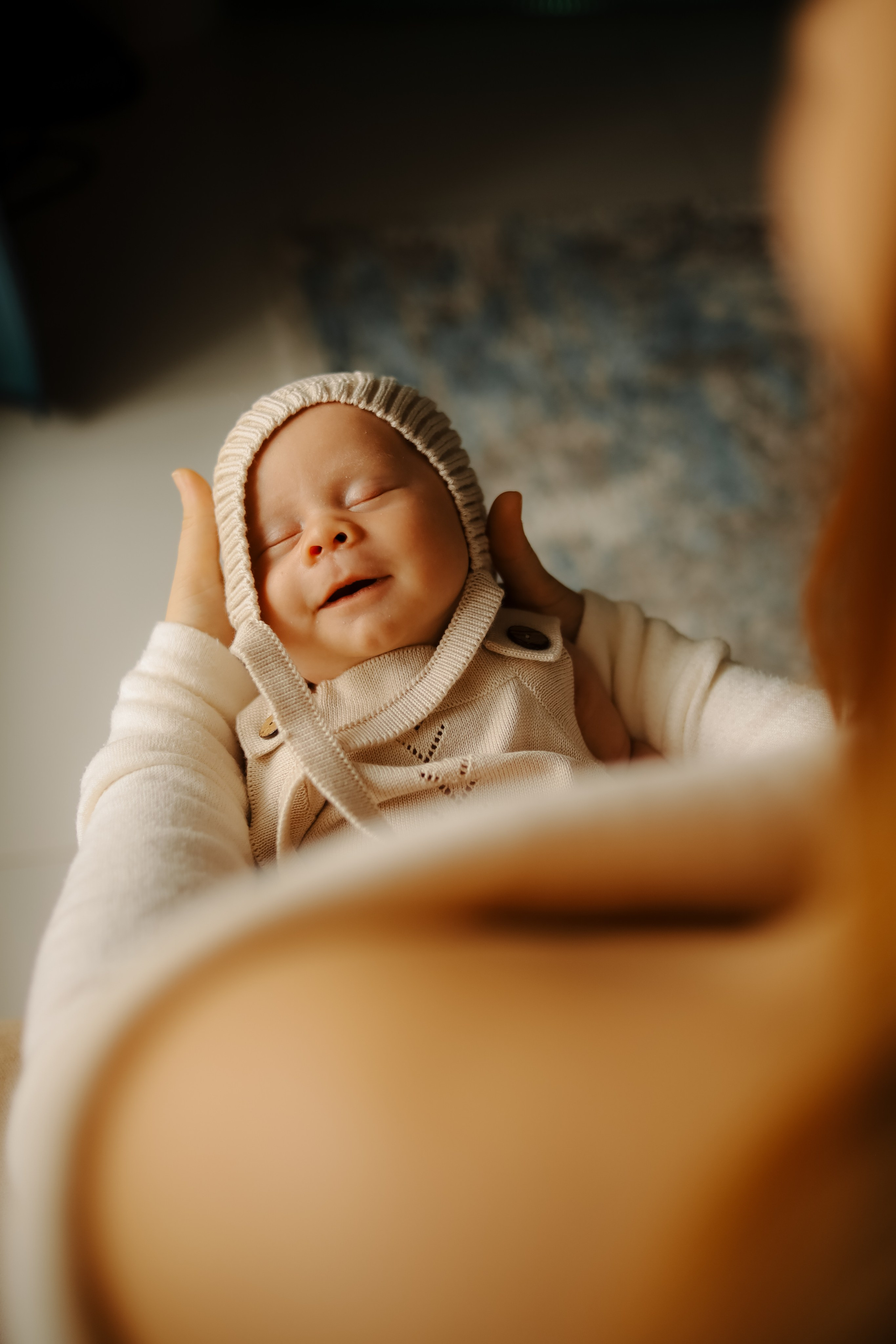 Лев. Phbyadel.wfolio.pro