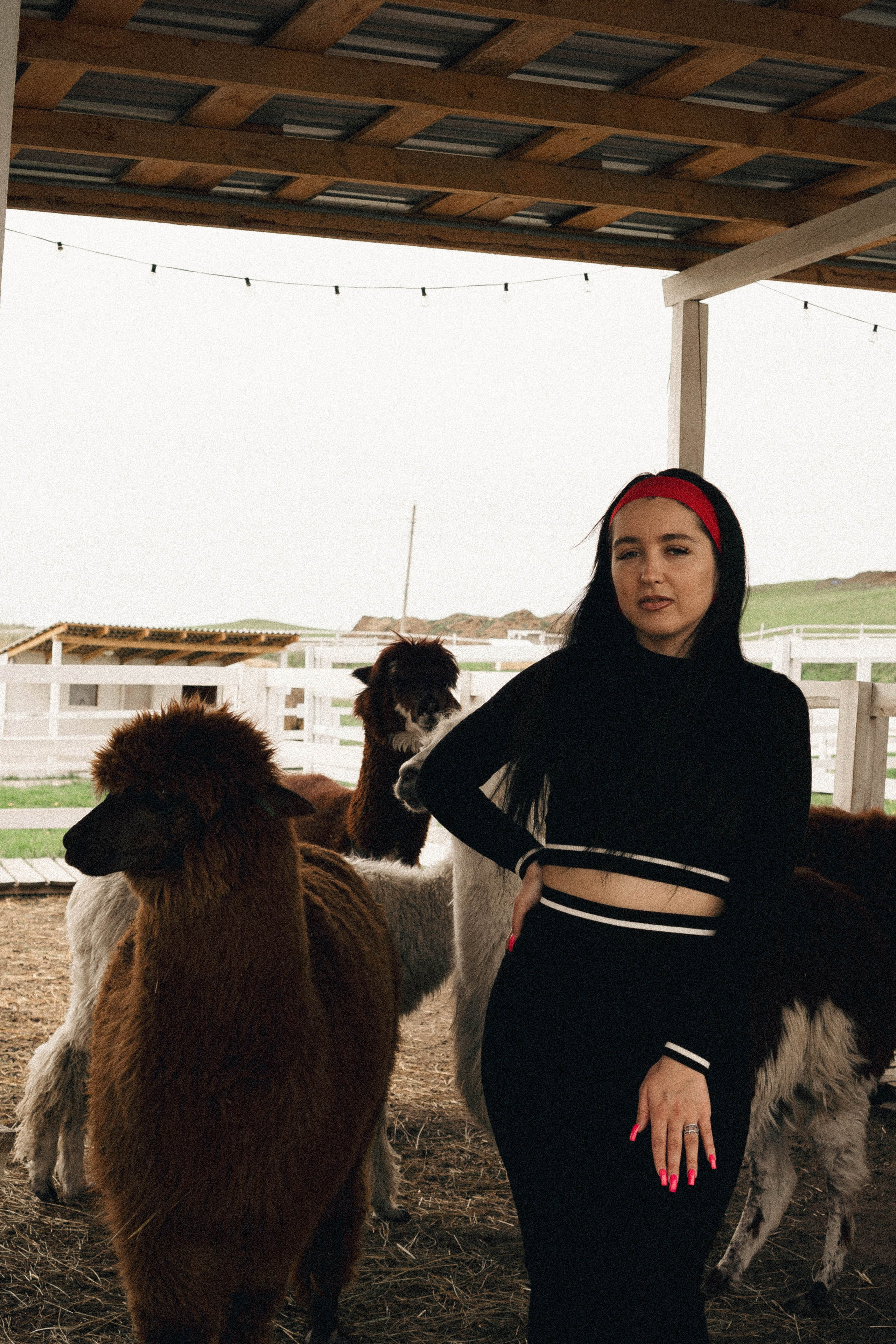 Ферма Альпак. Профессиональный фотограф, Санкт-Петербург — Виктория Богомолова