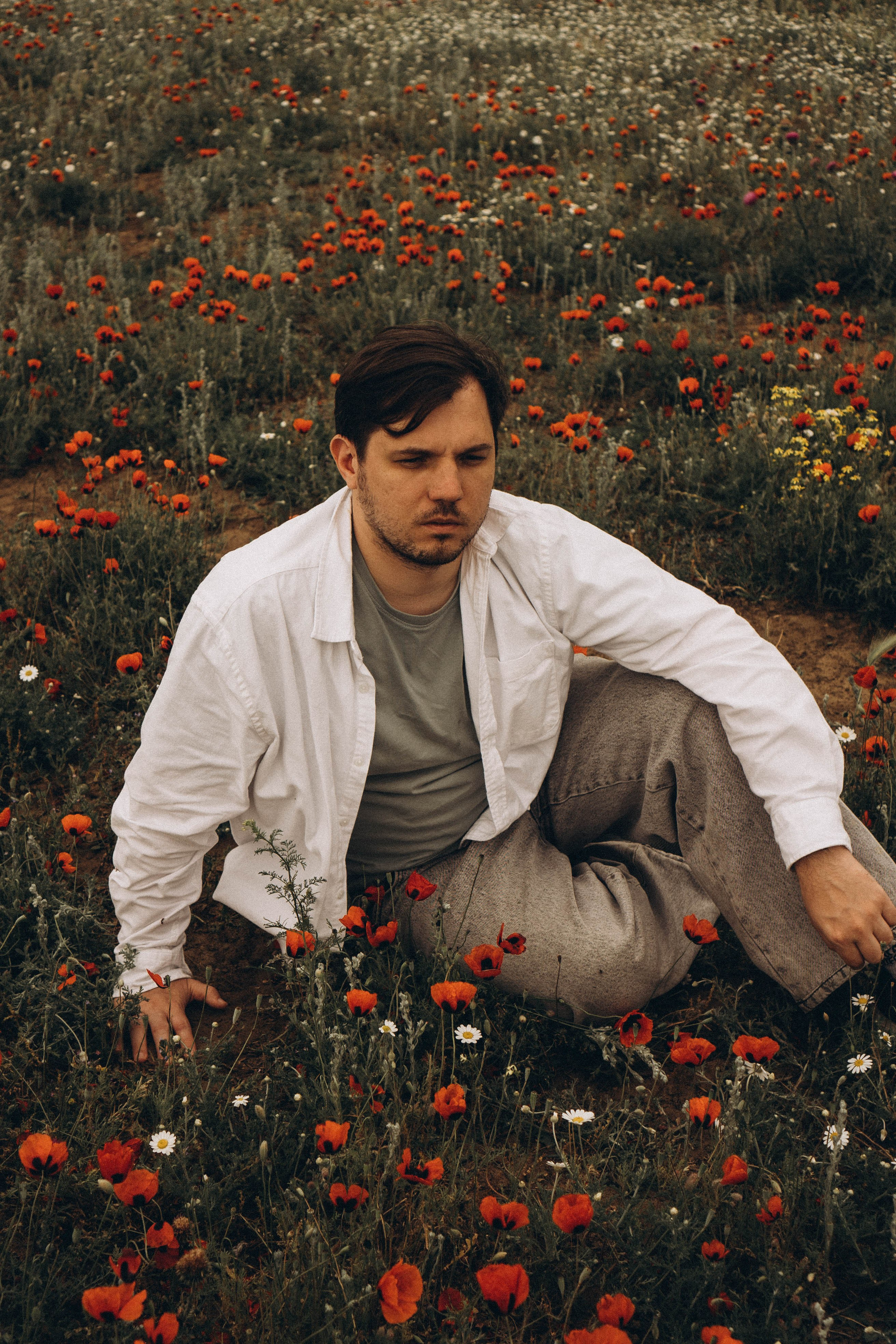 Маки. Профессиональный фотограф, Санкт-Петербург — Виктория Богомолова