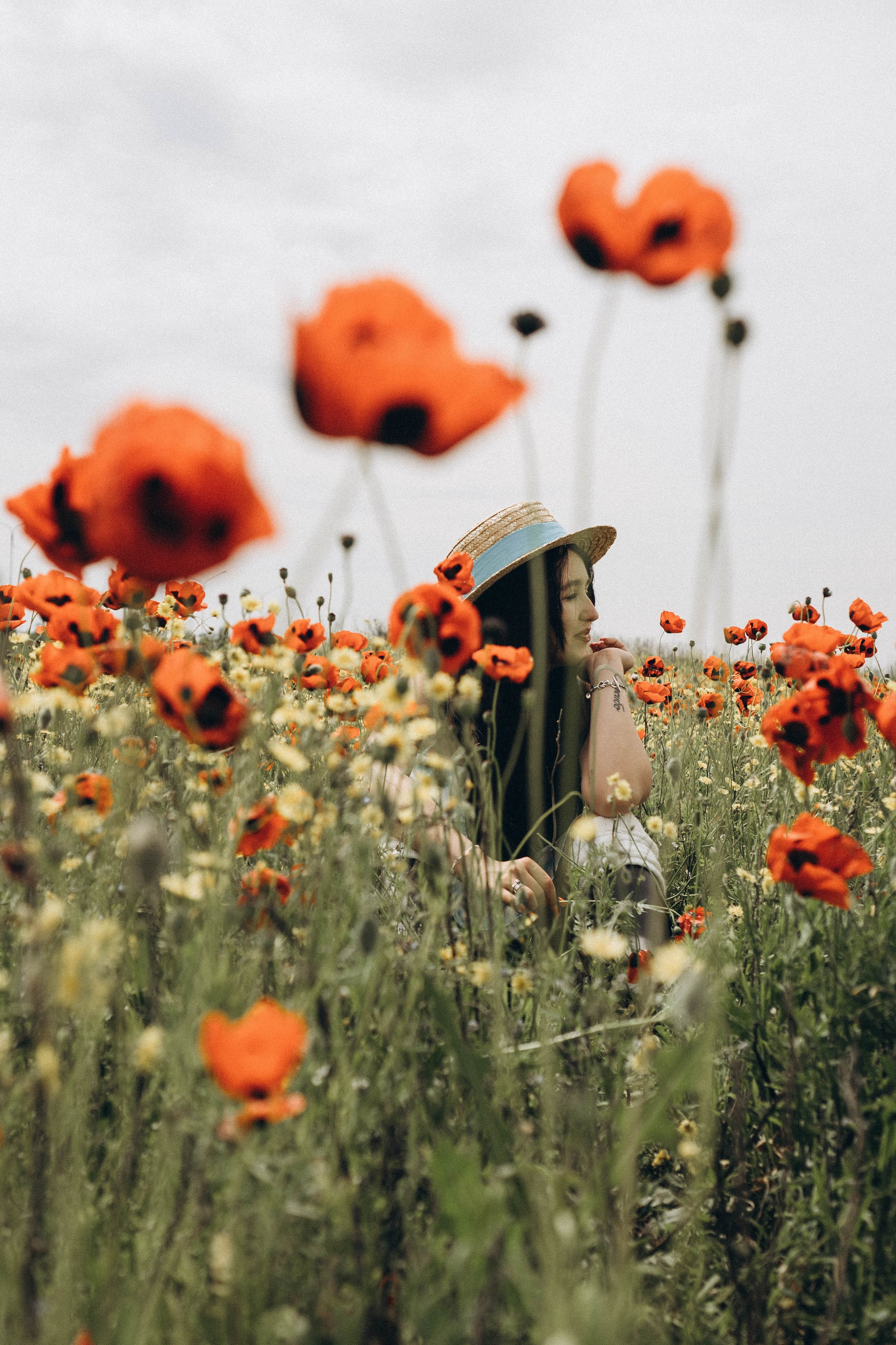 Цветочная поляна. Профессиональный фотограф, Санкт-Петербург — Виктория Богомолова