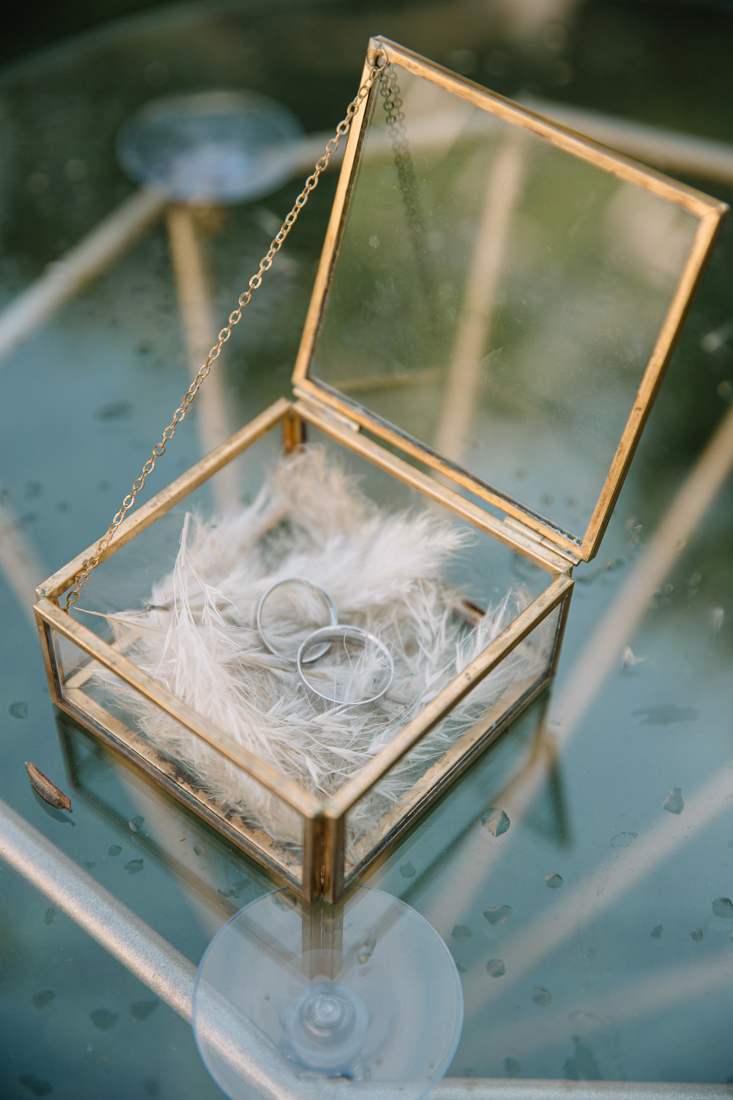 02.09.2022. Яна Тихонова — фотограф в Полоцке, Витебске и Минске