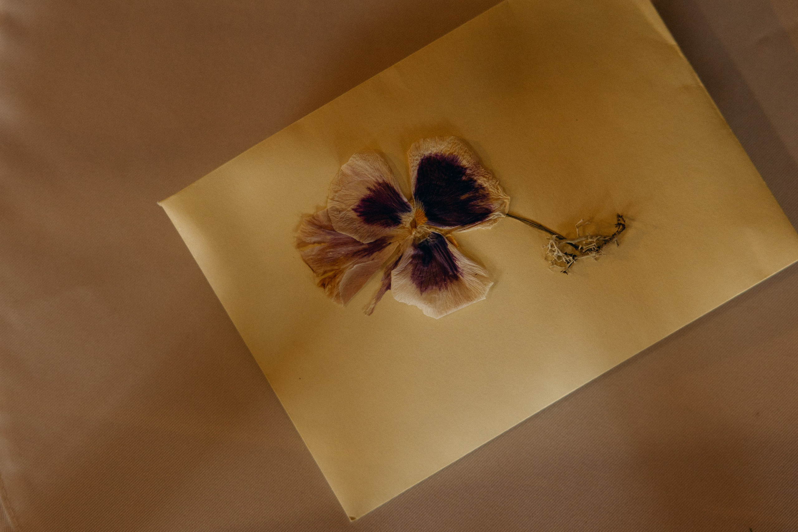 Егор|Ира. Свадебный фотограф Таня Караисаева