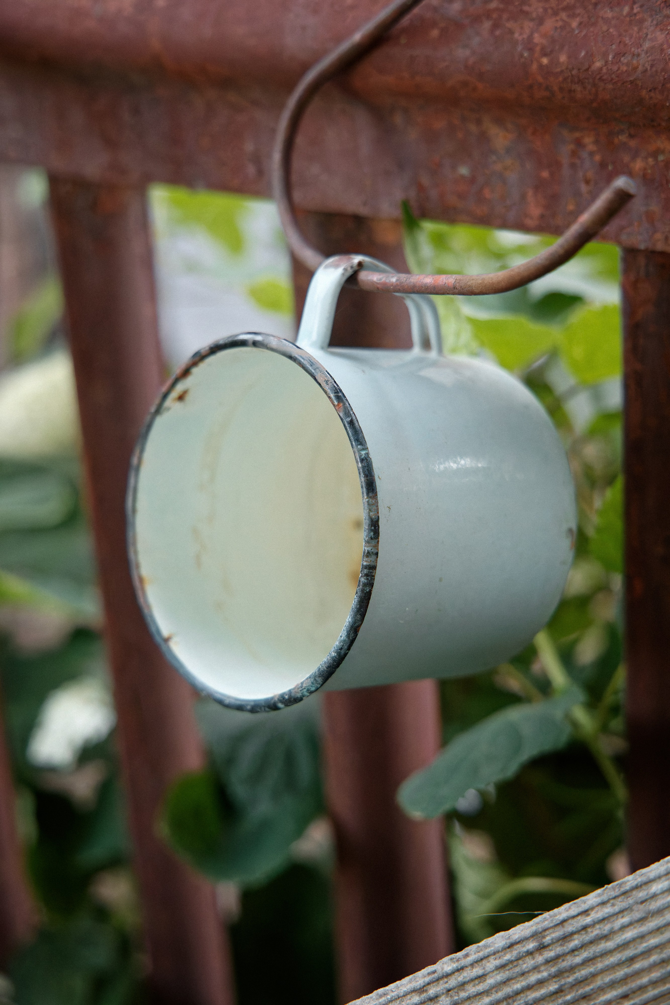 Семья Даниловых. Семейный фотограф — Макс Белогрудов
