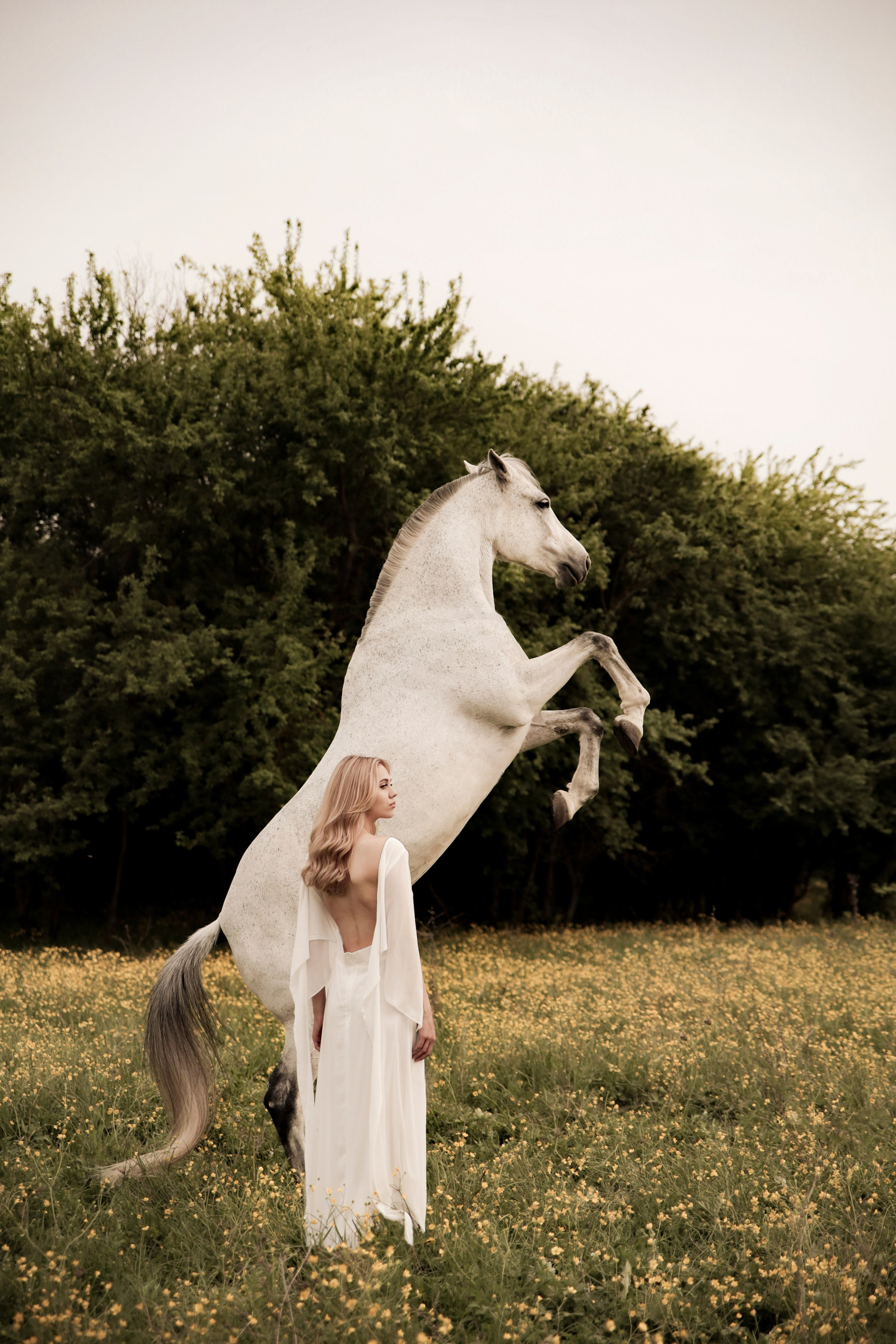 Фотопроект с трюковой лошадью Куклой. Семейный и конный фотограф в Краснодарском крае и Адыгее