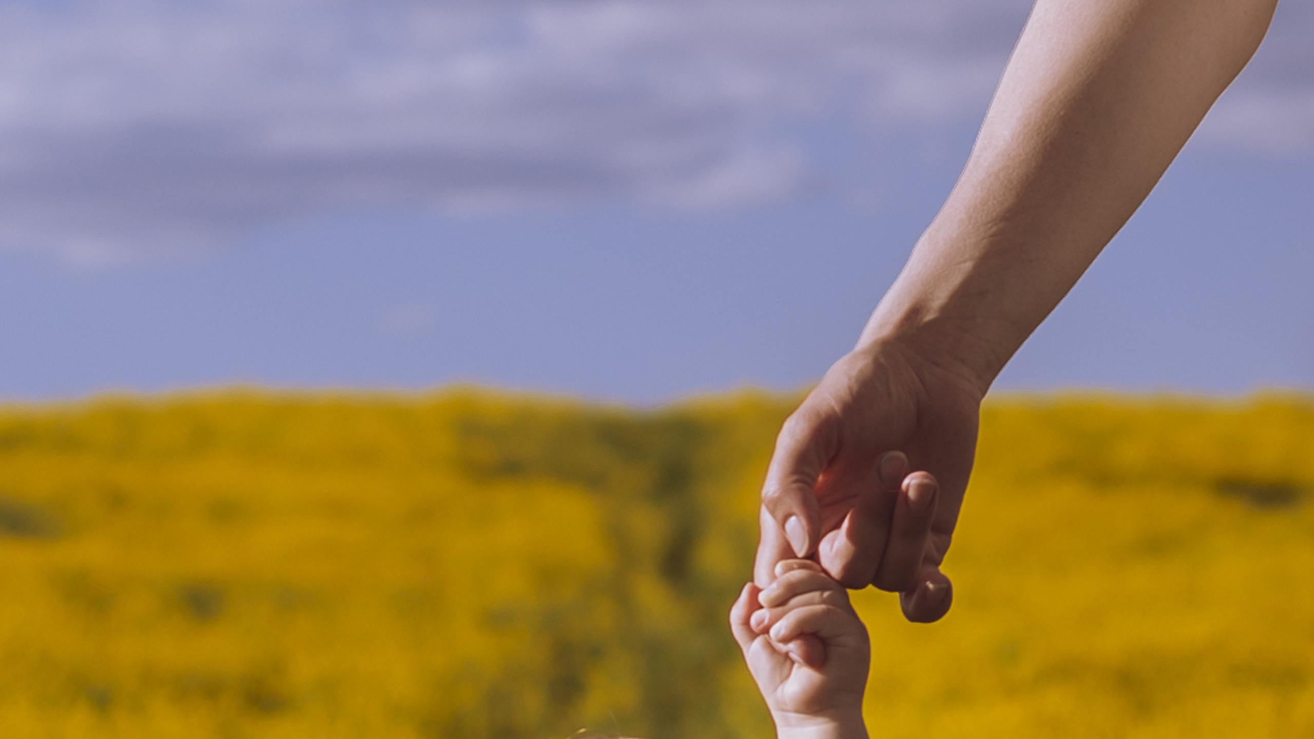 Фотосессия в поле с детьми | Елена, Приозерск. Женский, семейный и контент фотограф Ирина Ульянова в Санкт-Петербурге