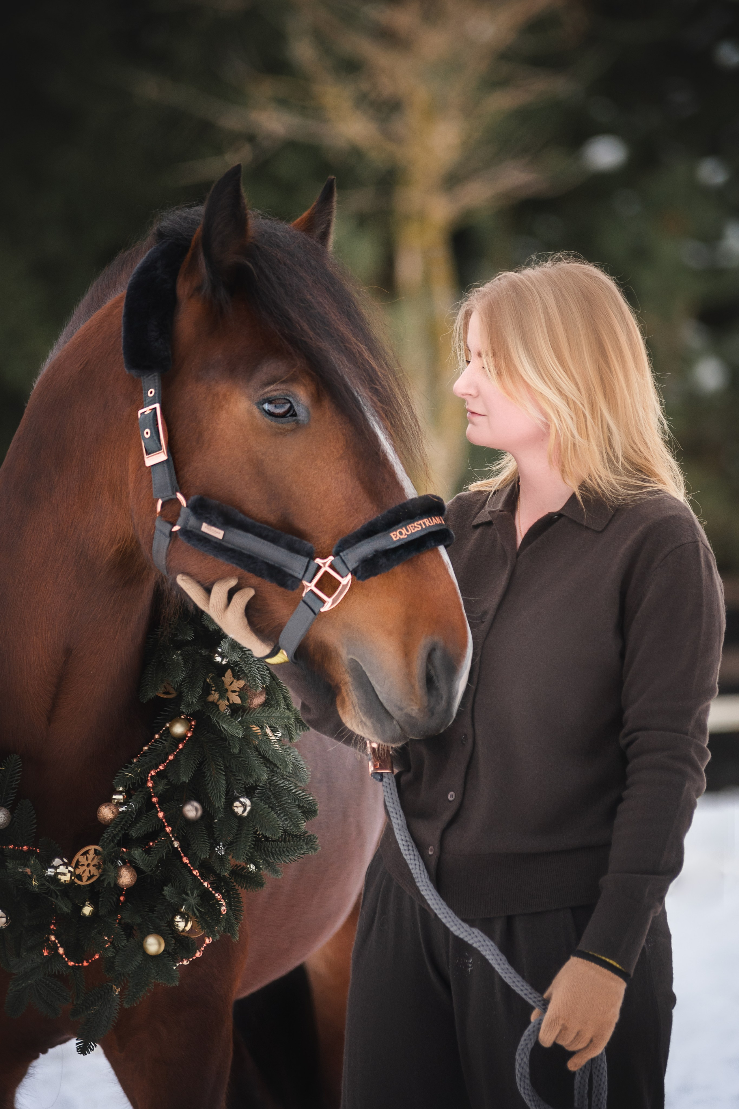Новогодний Волконский. Конный фотограф Куракина Дарья • Фотосессии с лошадьми