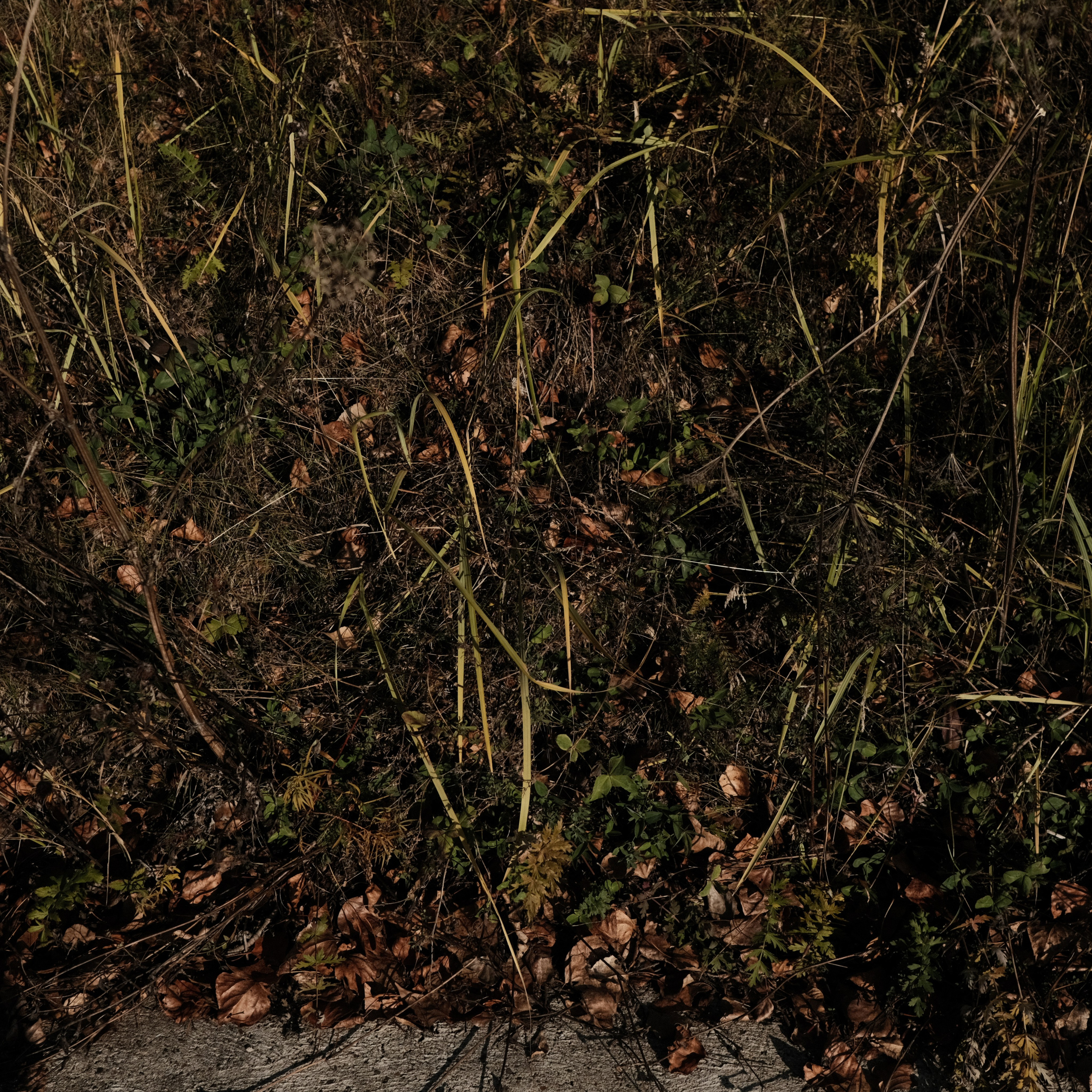 Нижний Новгород. LIYALEE PHOTO