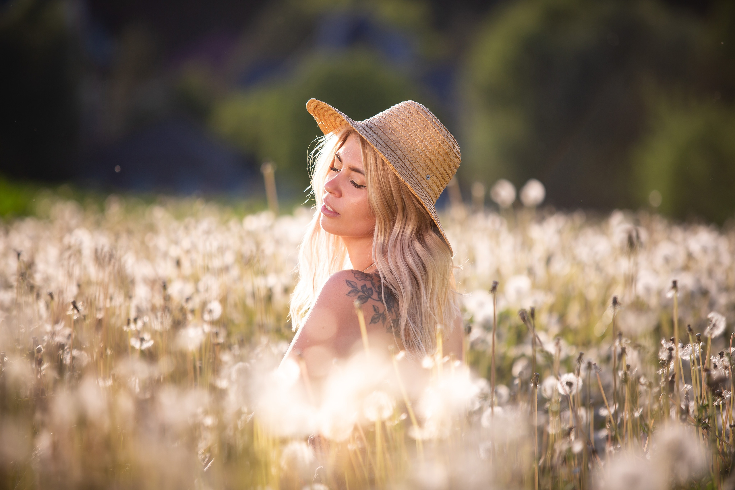 Одуваны. Фотограф Мария Кольцова