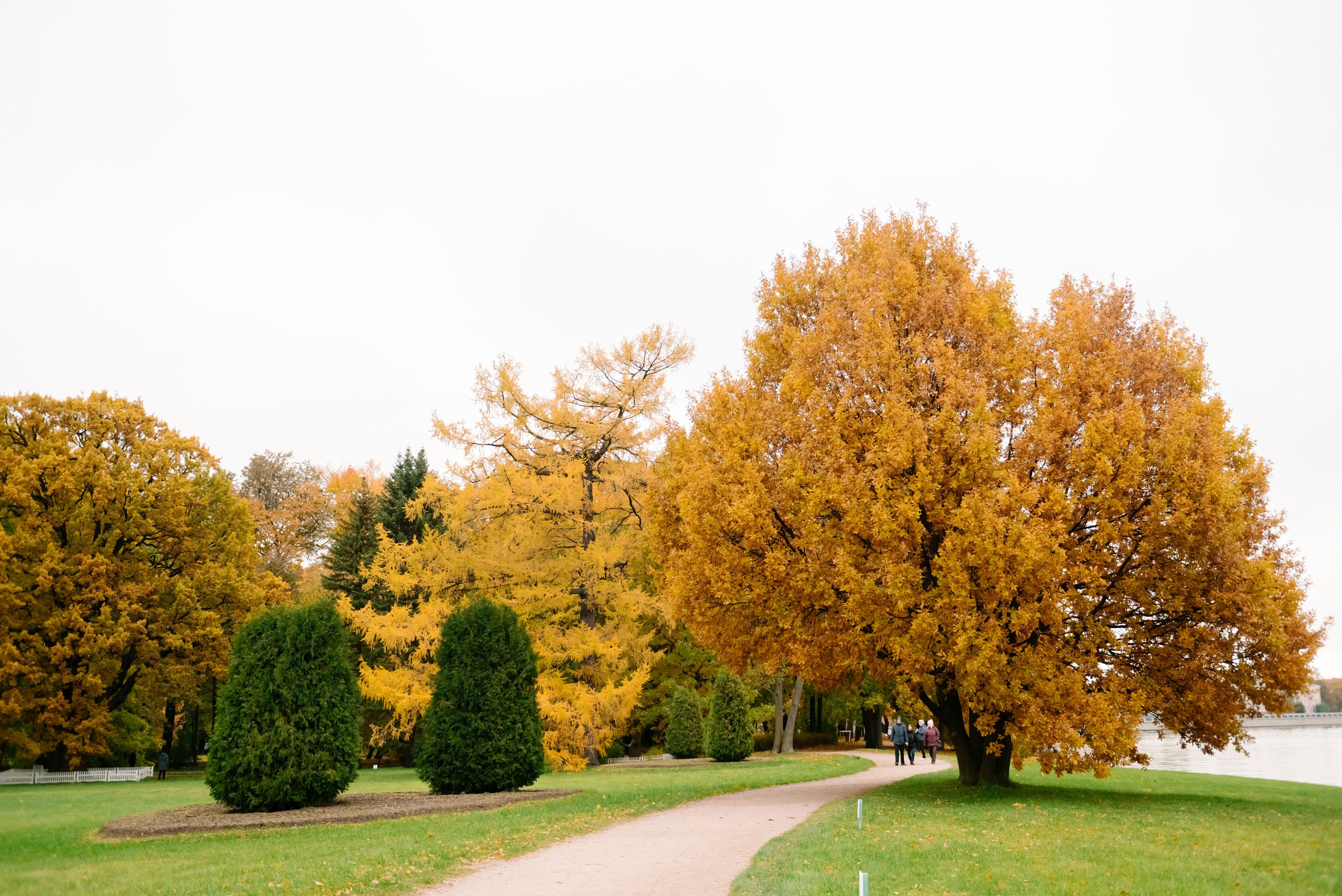 Осенняя фотосессия в Питере на Елагин острове. Свадебный и сеейный фотограф в Санкт-Петербурге Елена Худякова