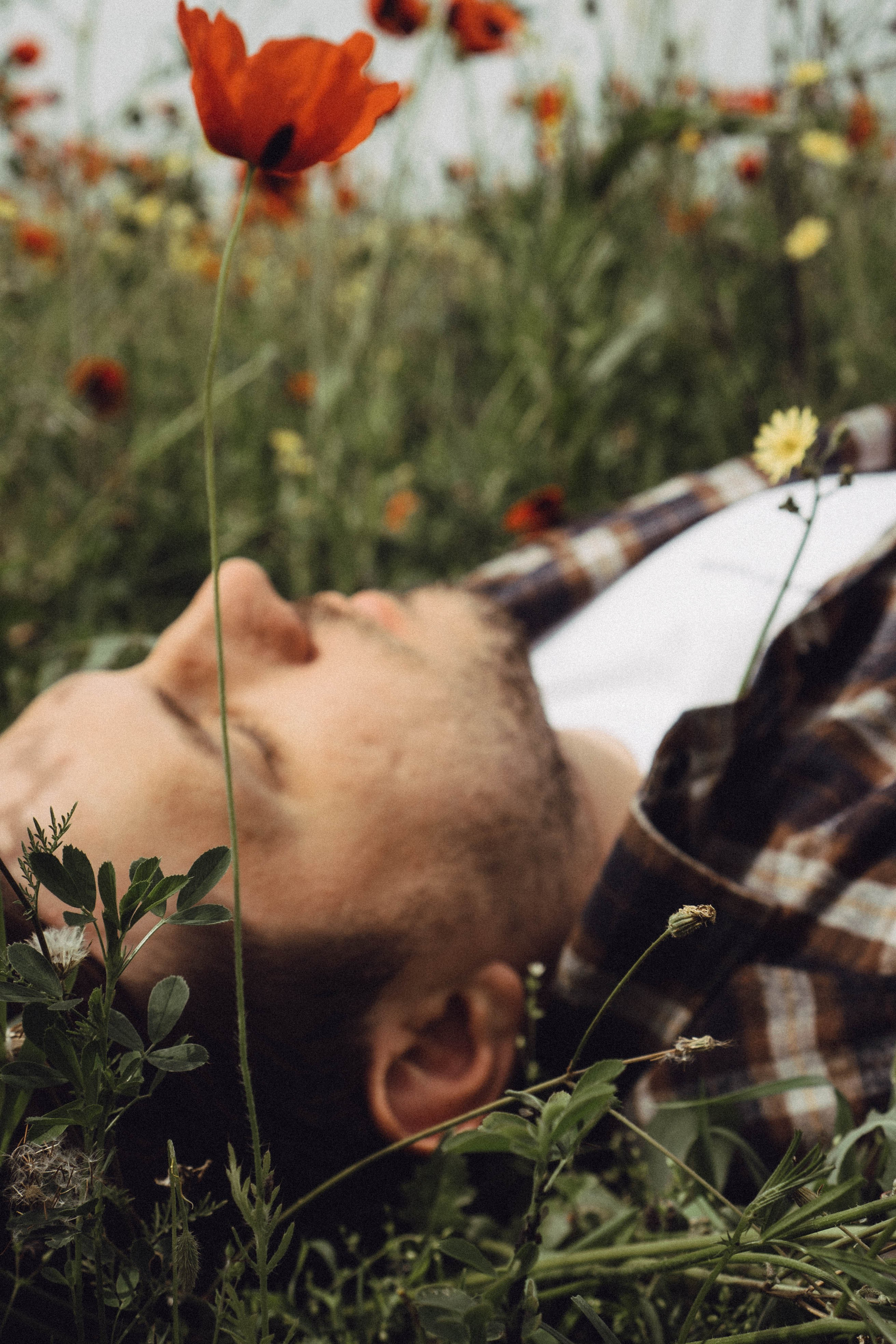Маки. Профессиональный фотограф, Санкт-Петербург — Виктория Богомолова
