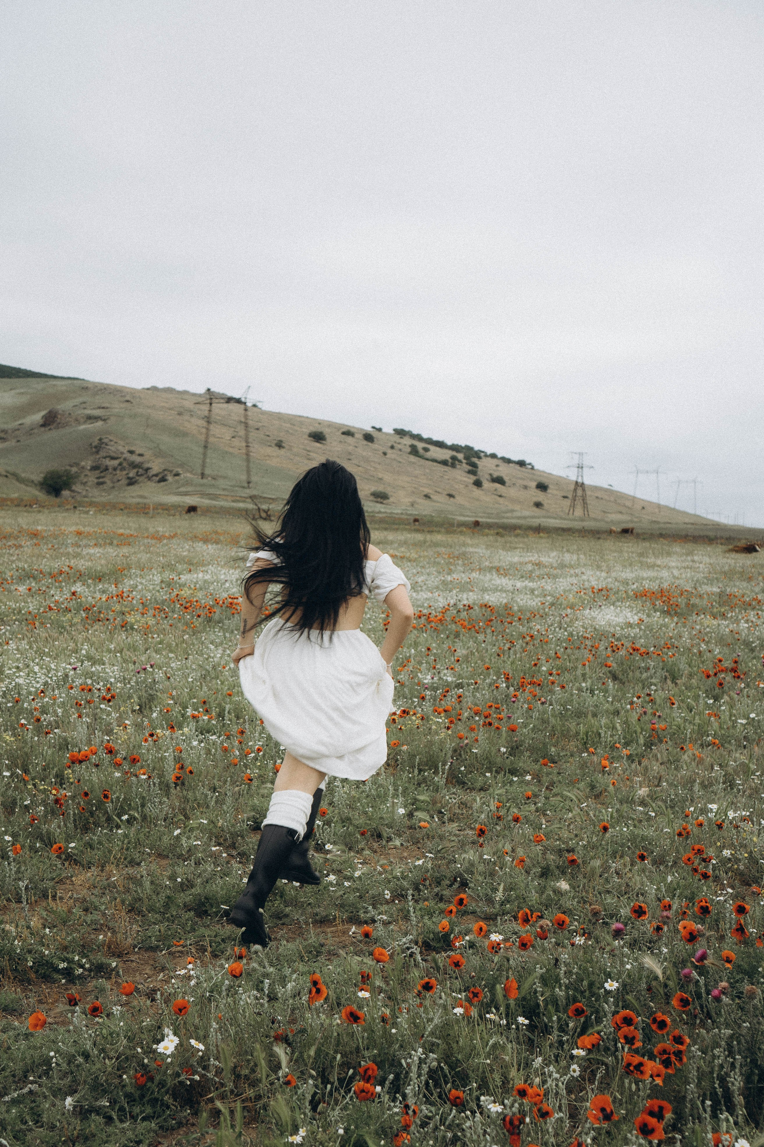 Маковое поле. Профессиональный фотограф, Санкт-Петербург — Виктория Богомолова