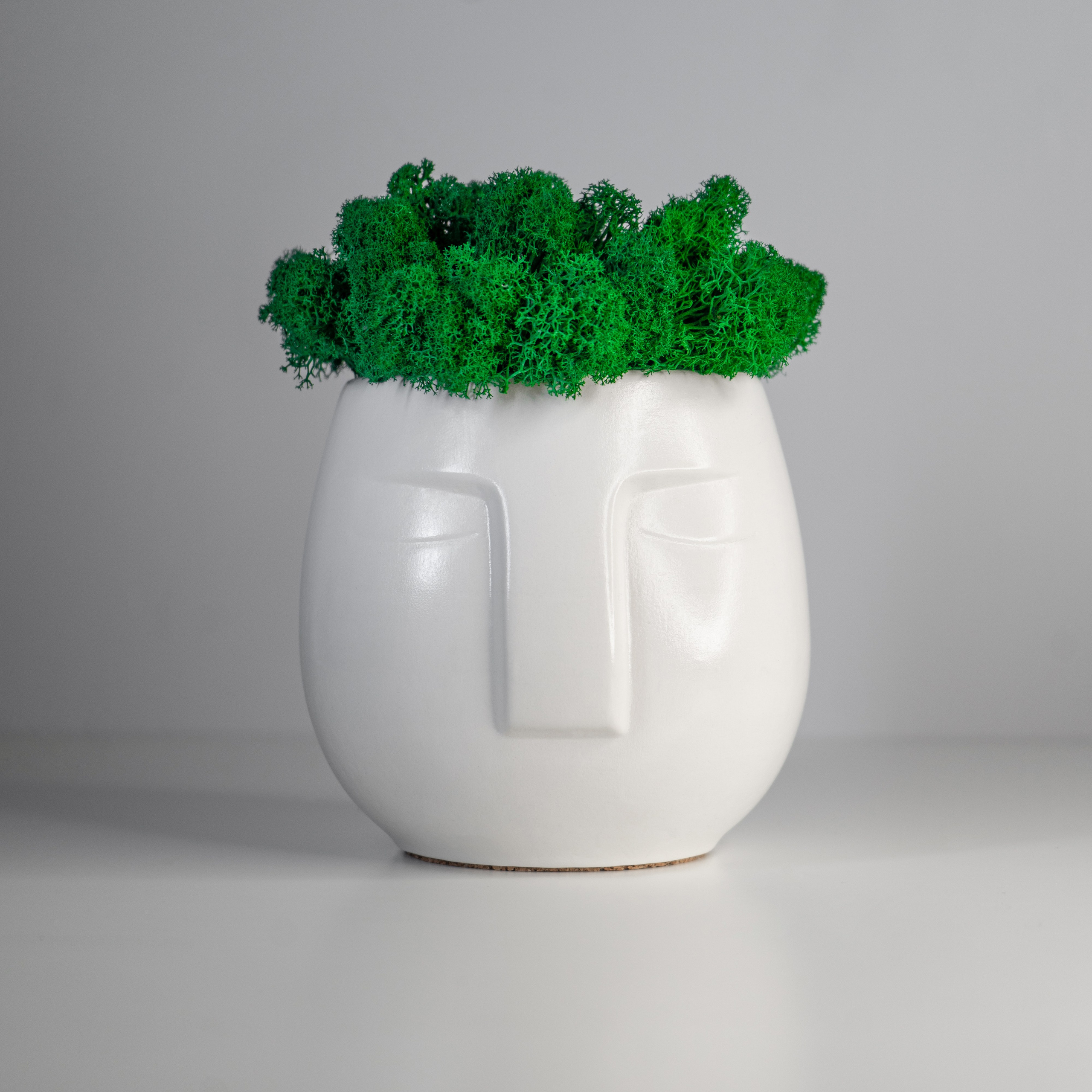 Кашпо. Концептуальный фотограф Шлыкова Ольга