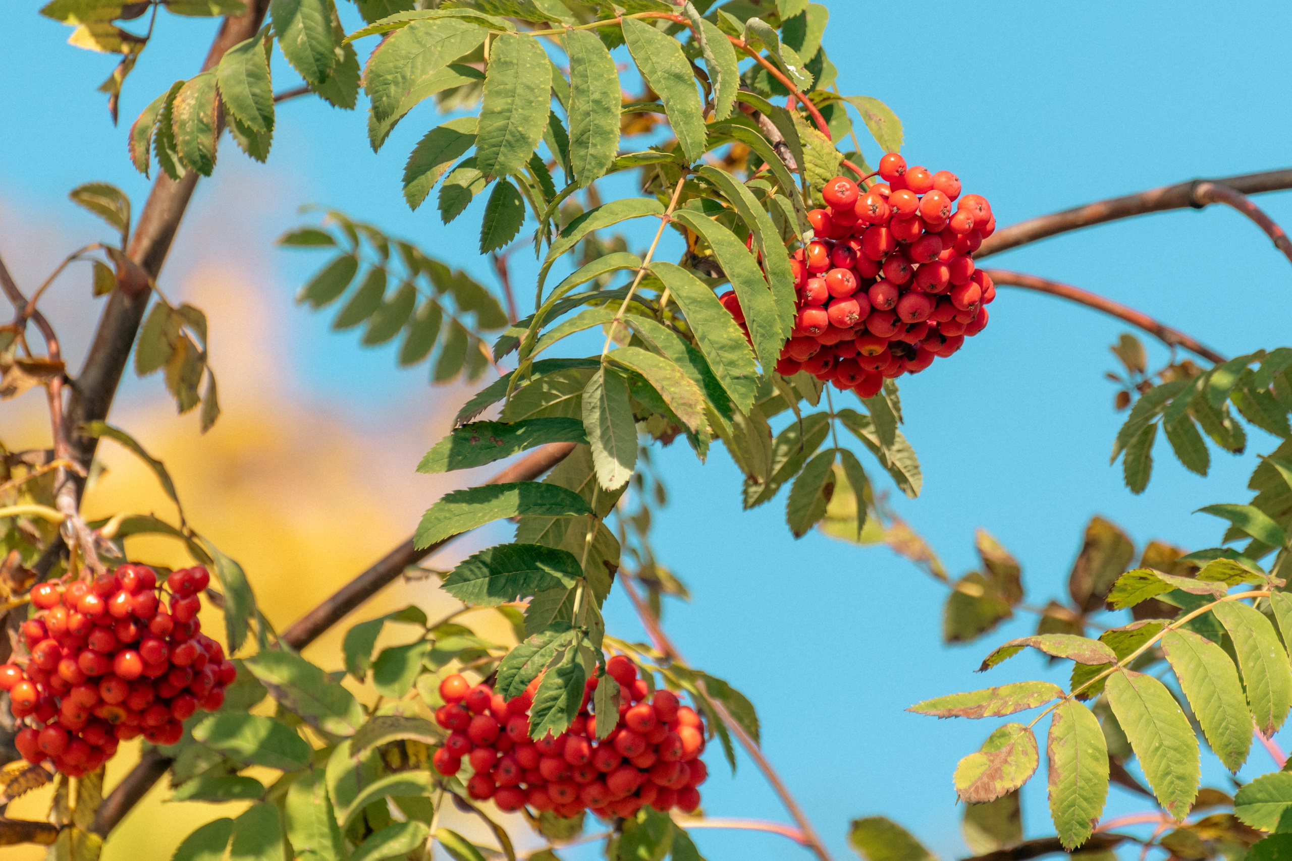 20211003 Поклонка. Дмитрий Ремизов. Фотография, как хобби