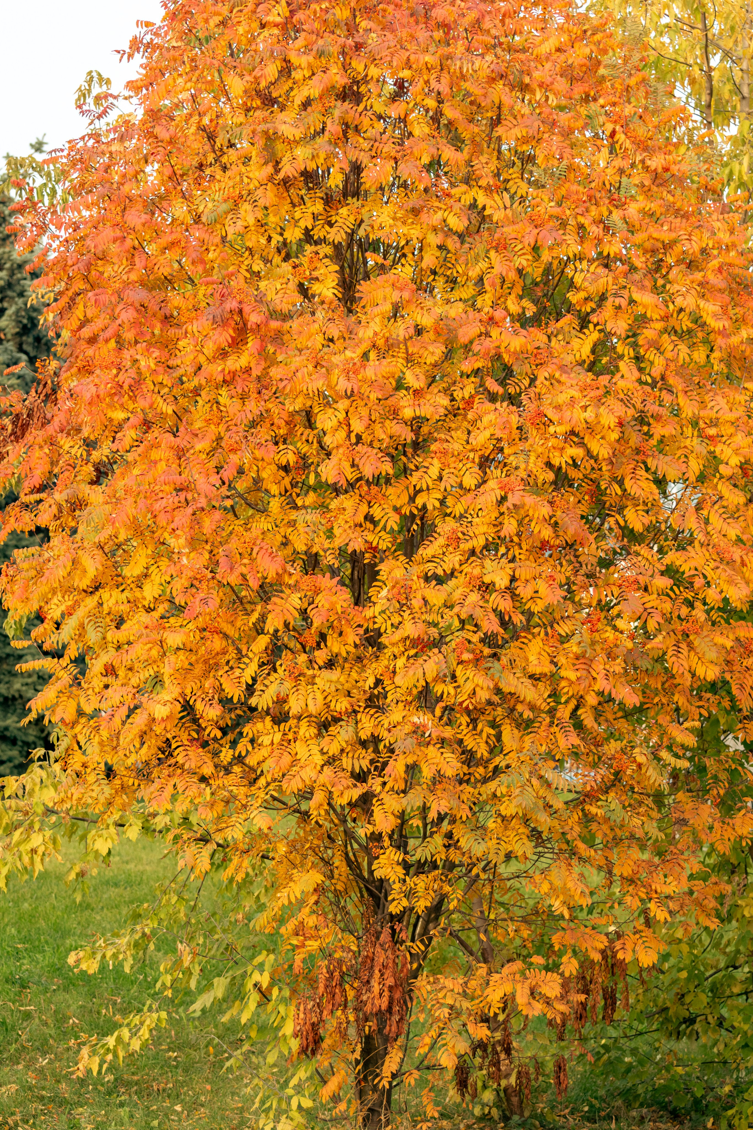 20211003 Поклонка. Дмитрий Ремизов. Фотография, как хобби