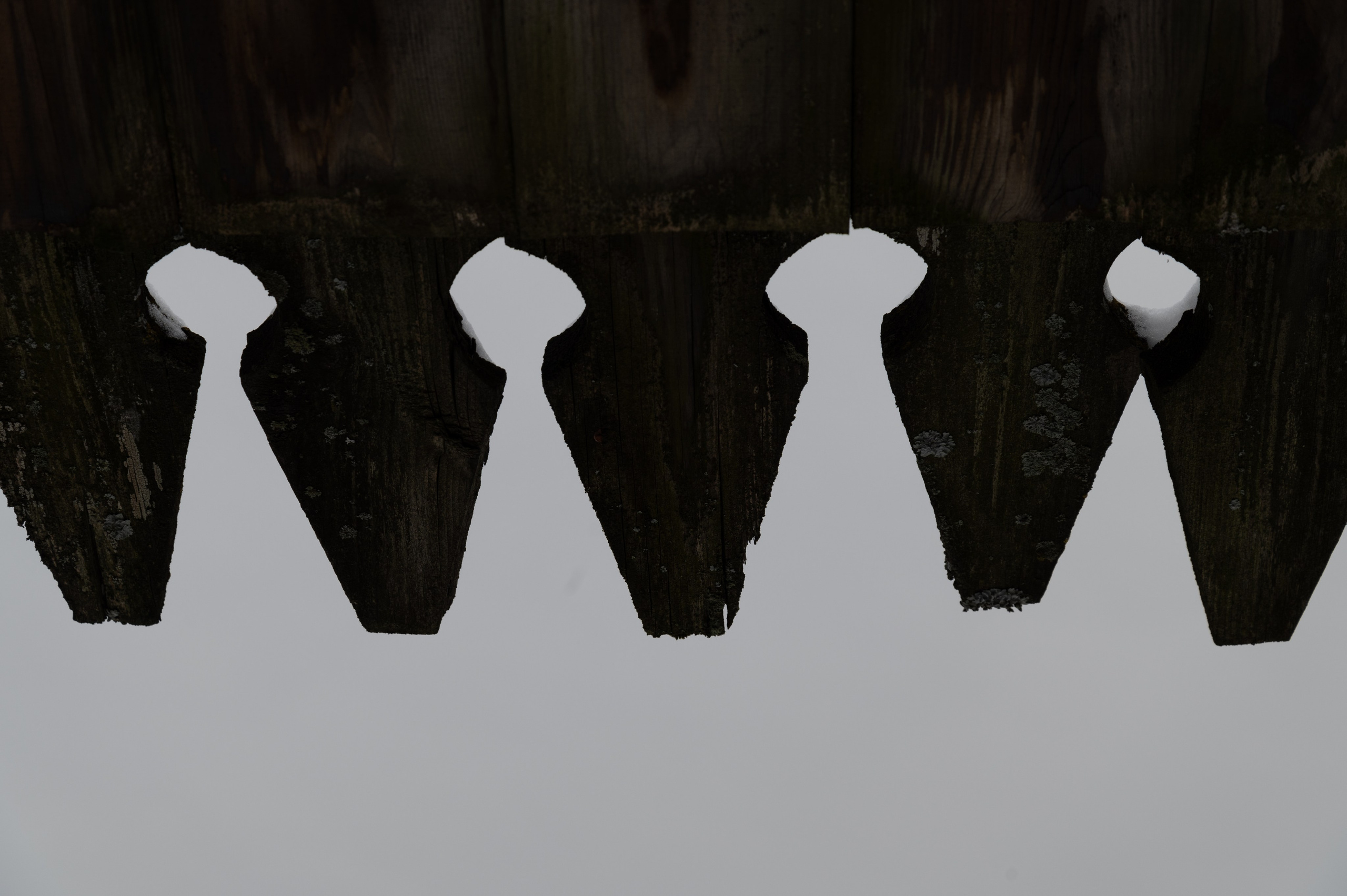 20240127 Ростокинский акведук. Дмитрий Ремизов. Фотография, как хобби