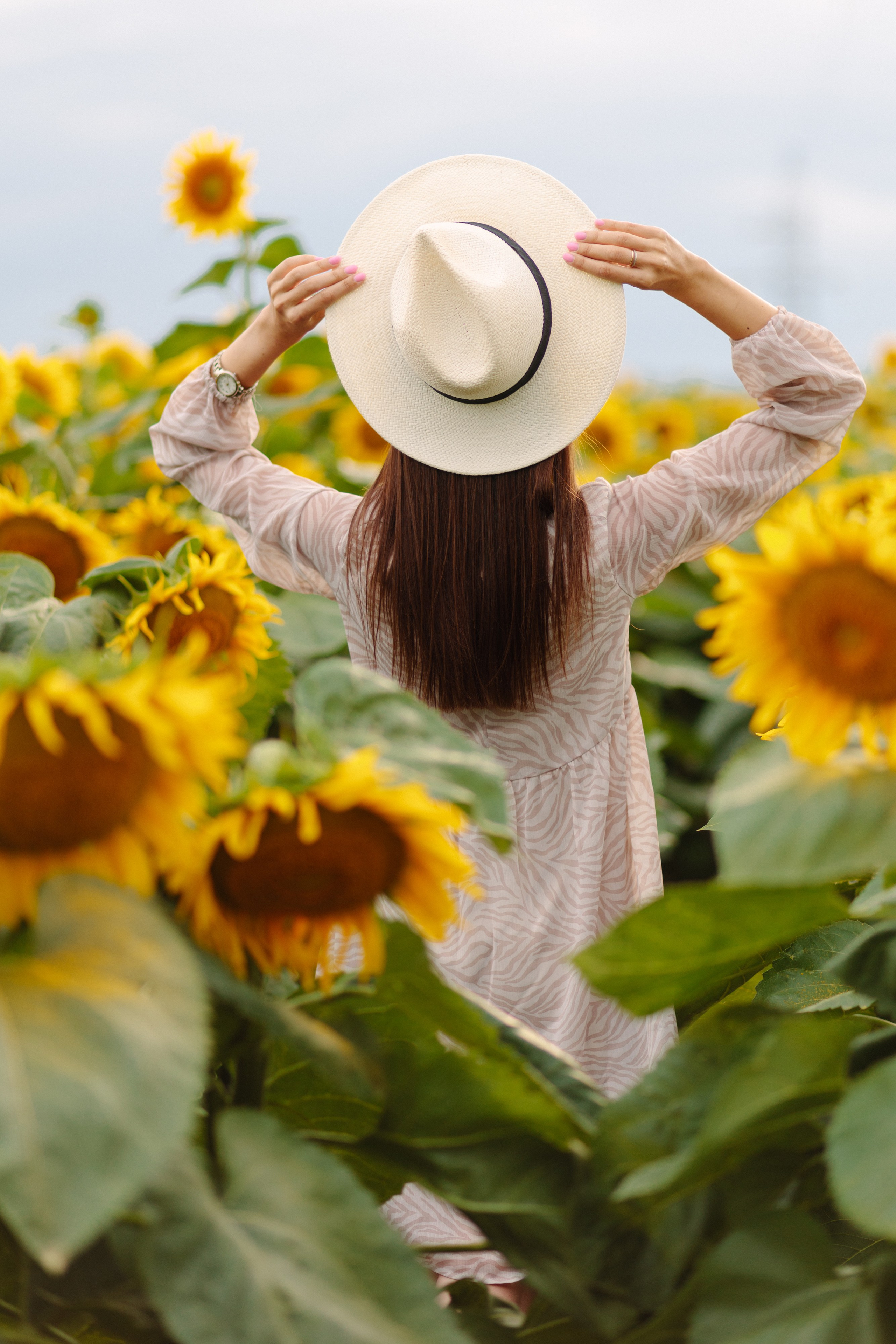 Подсолнухи. Dima Lemeshevsky