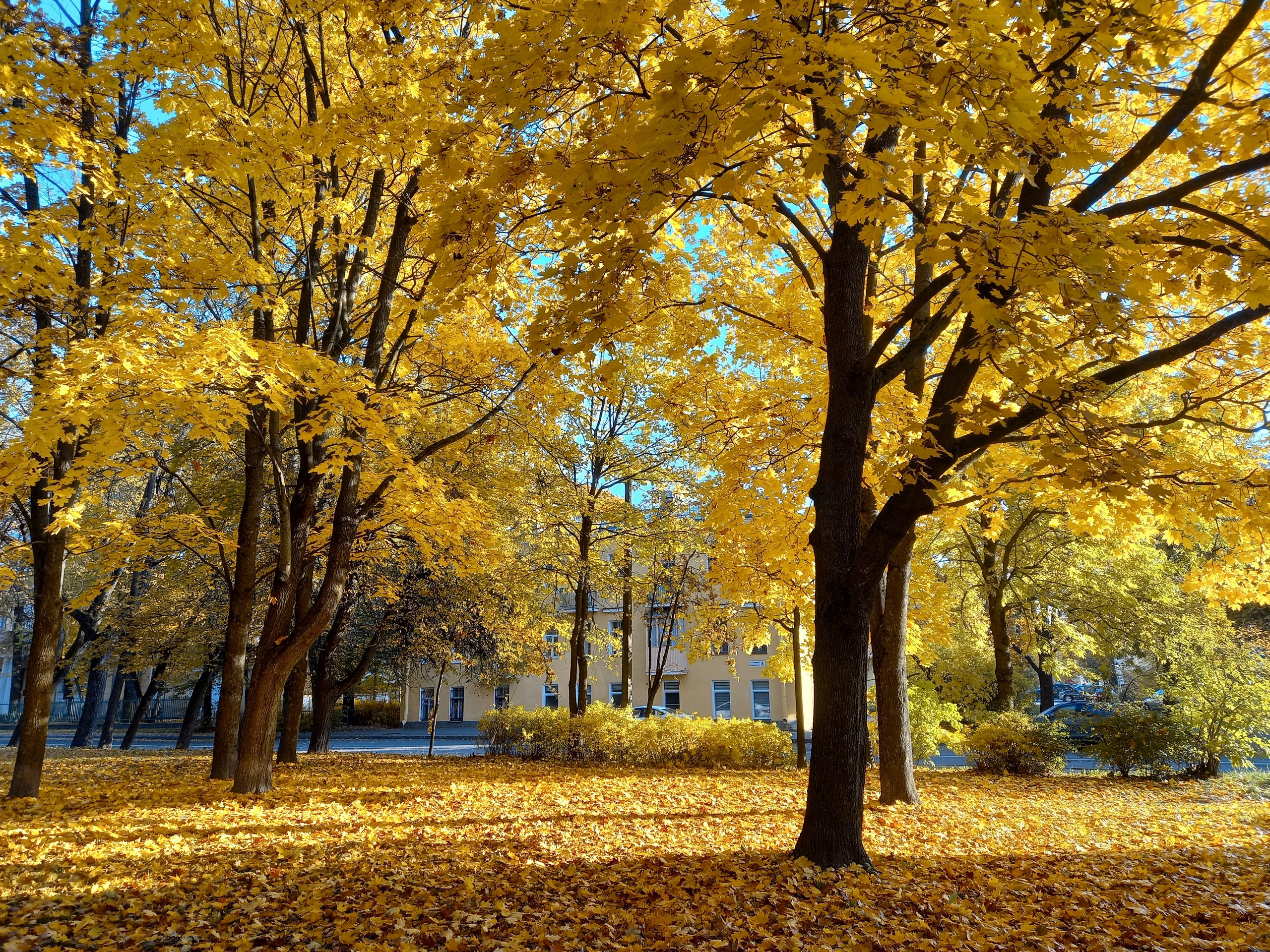 Осенний Петербург Saint-Petersburg in Fall