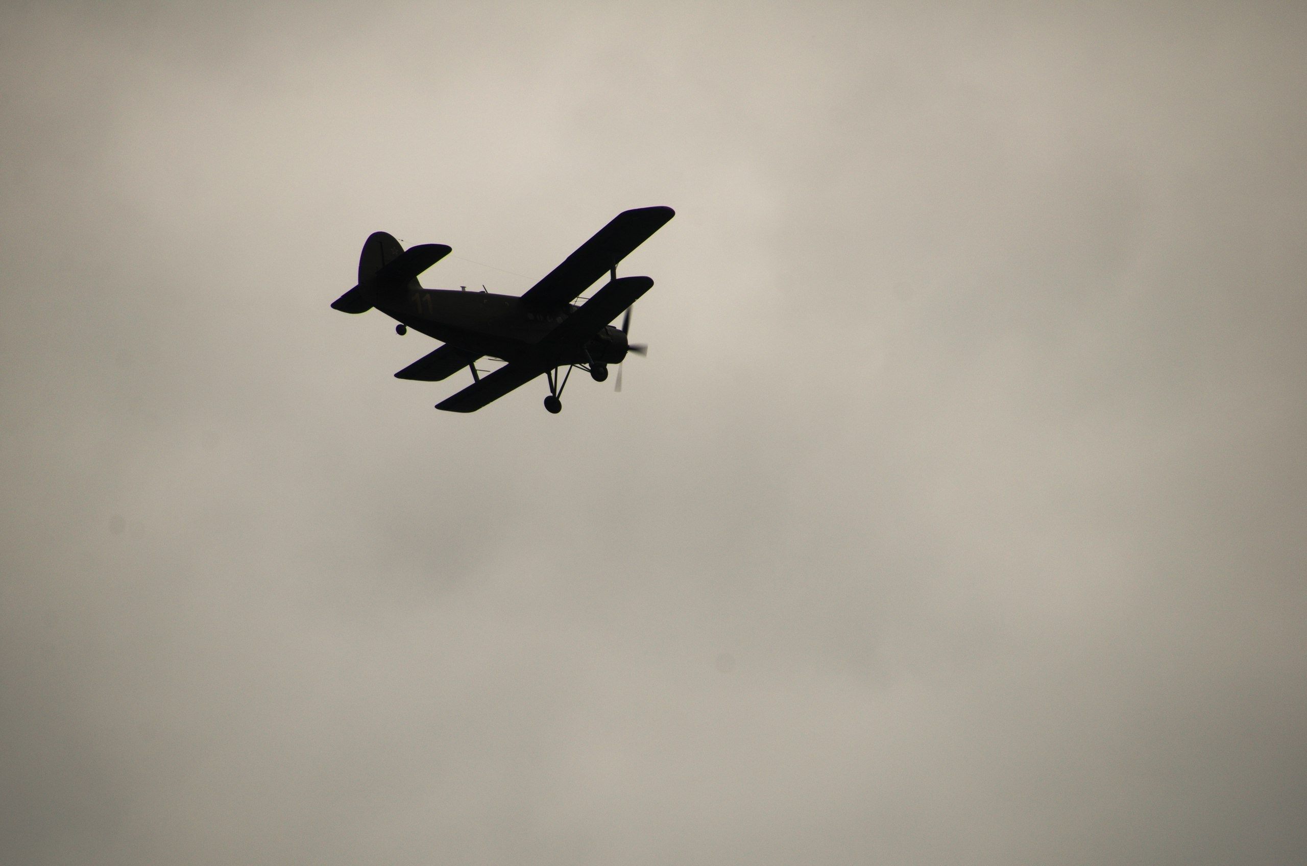 Боровск и парк птиц «Воробьи» | 17.09.2017. Галерея Фантим