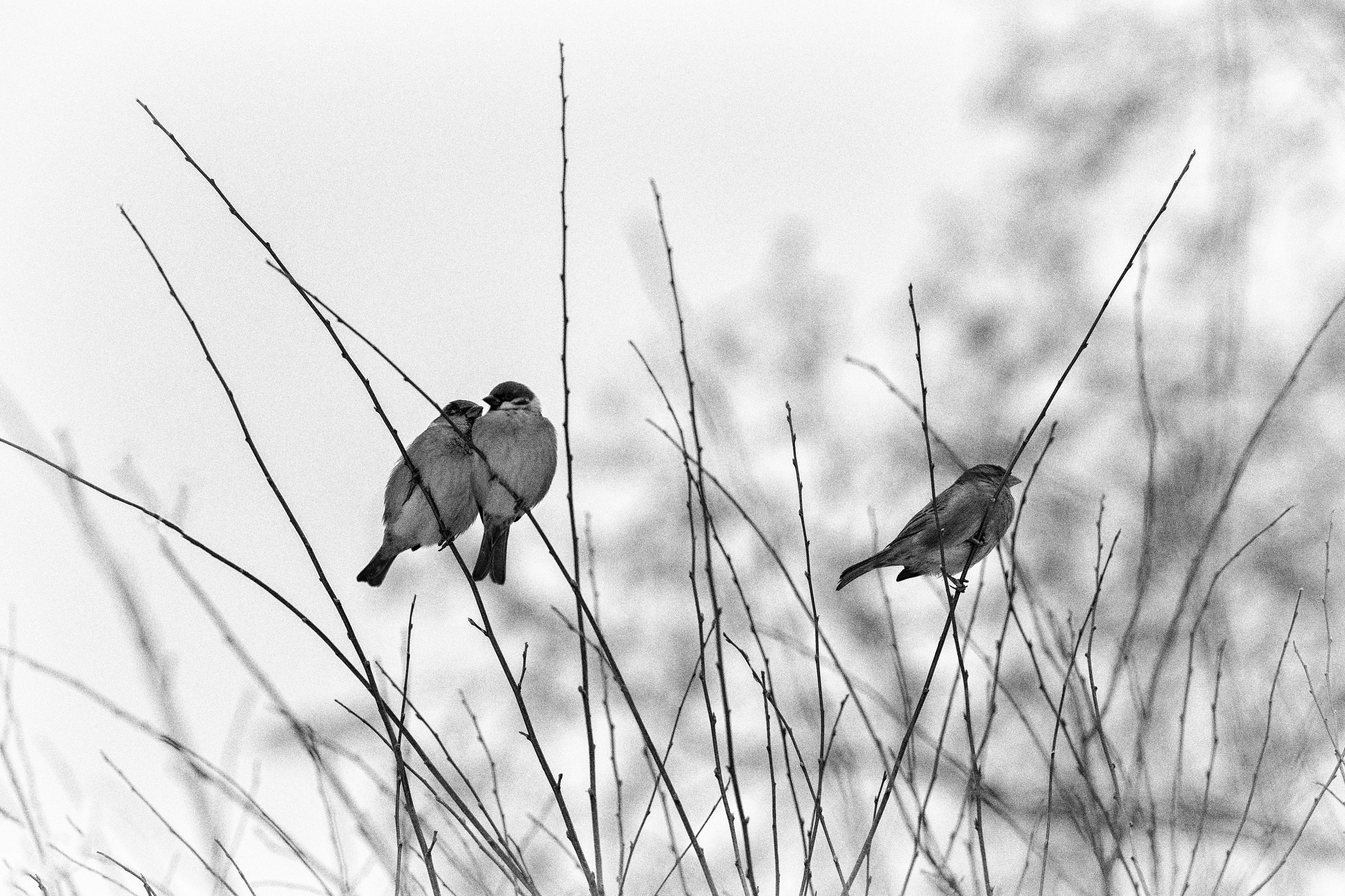 Фотограф Ольга Дунаева