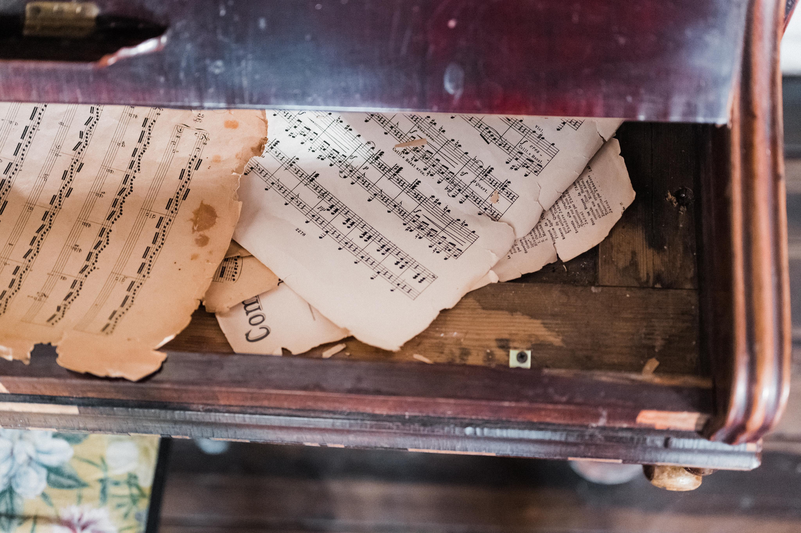 Москва, Россия. Свадебный фотограф Сергей Скрипник