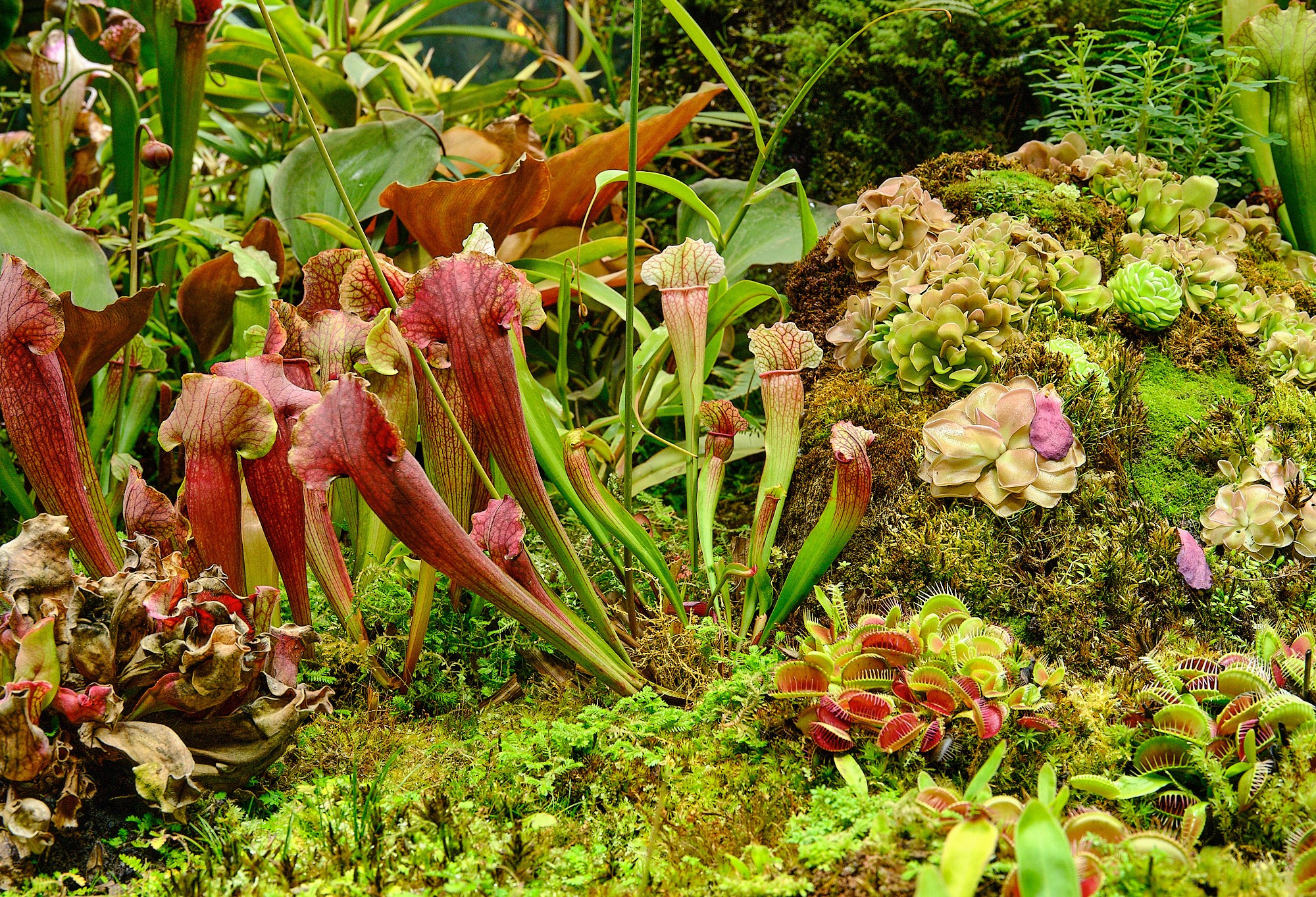 Фотоальбом с разными съёмками