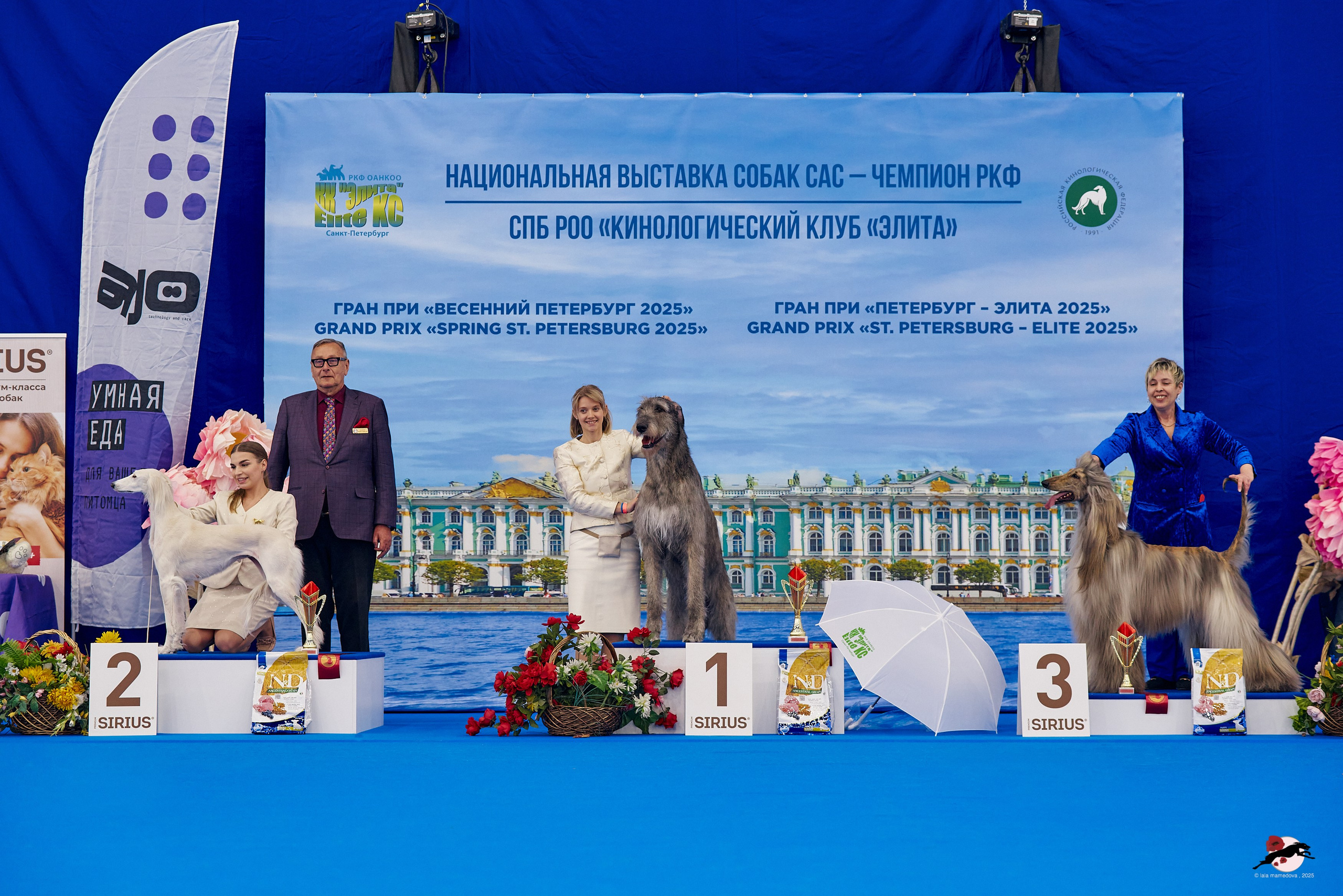 27.04.2025 | "Петербург-Элита 2025" & «КУБОК «ЭЛИТЫ»-2025»